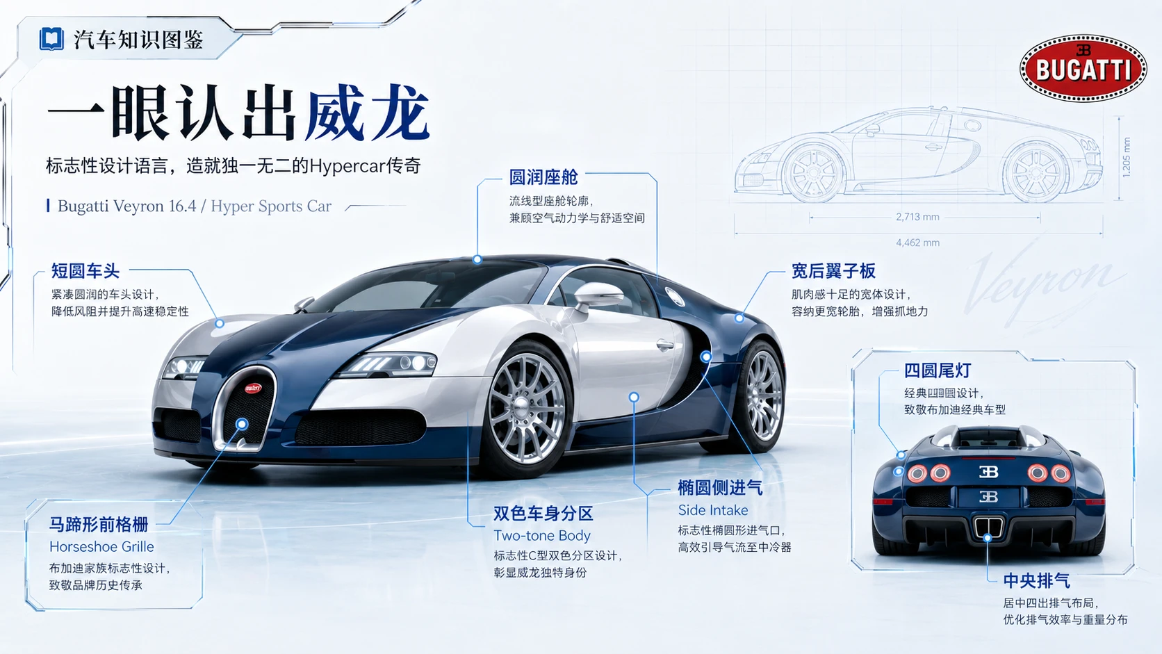 万物知识图鉴——布加迪威龙【4K浅色】 - 预览图1