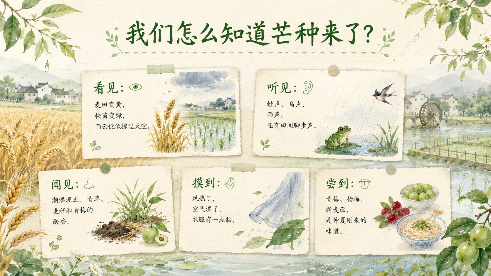 节气有知·芒种｜为什么说芒种又收又种？ - 预览图4
