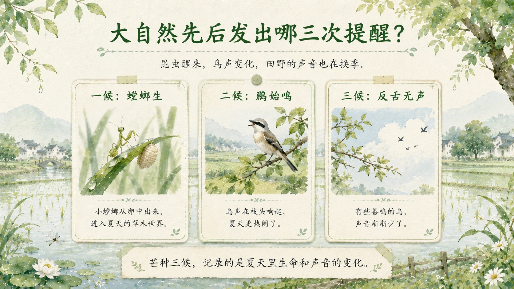 节气有知·芒种｜为什么说芒种又收又种？ - 预览图6
