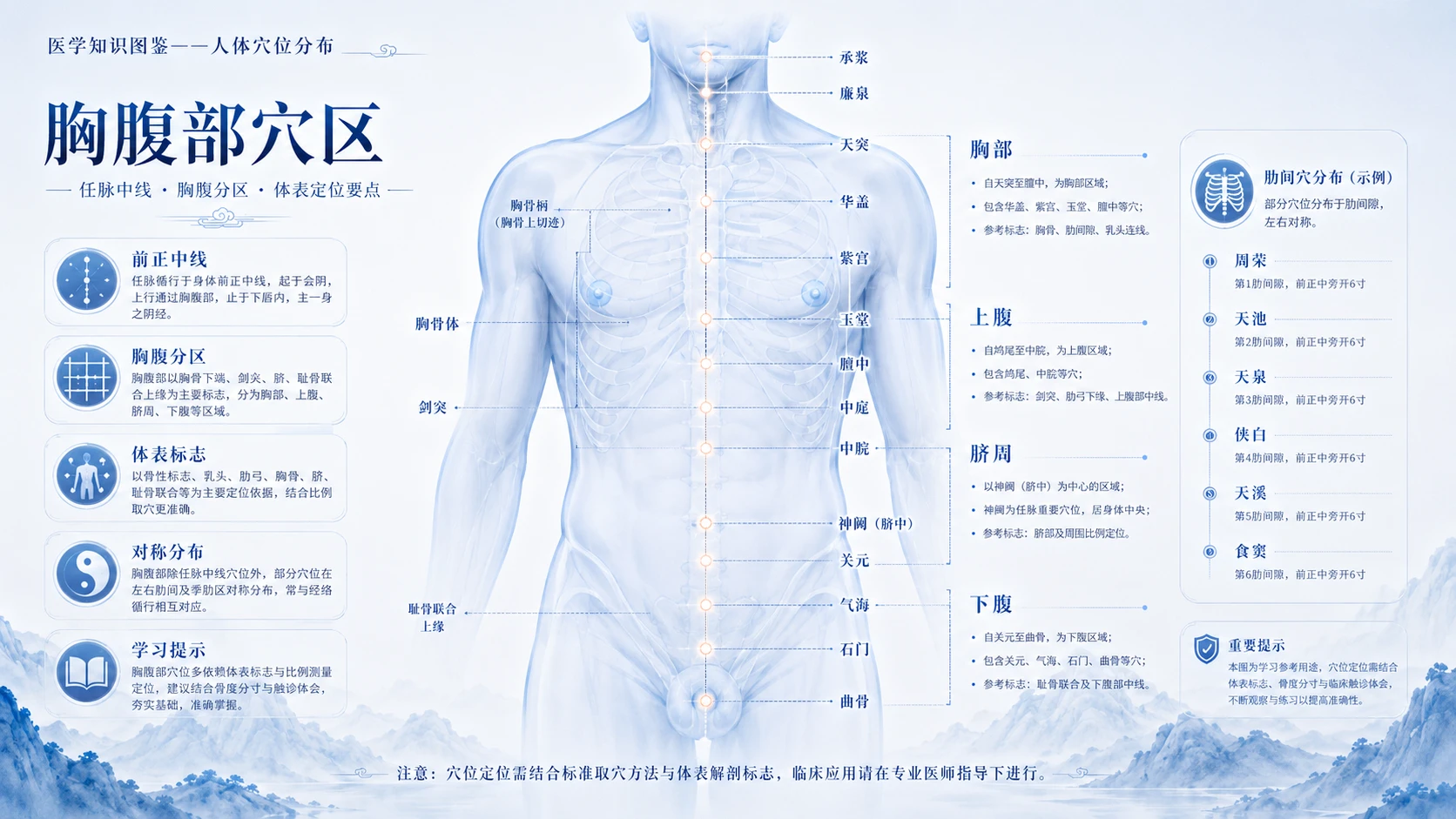 万物知识图鉴系列作品PPT——人体穴位【4K】 - 预览图4
