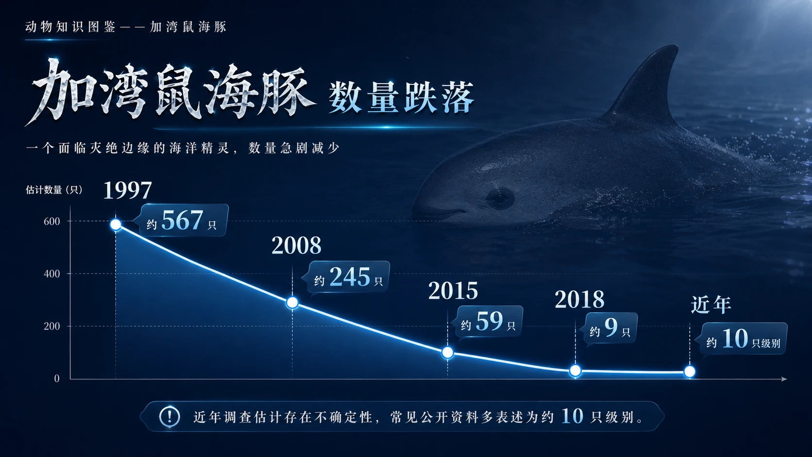 万物知识图鉴系列作品PPT——加湾鼠海豚【4K】 - 预览图7