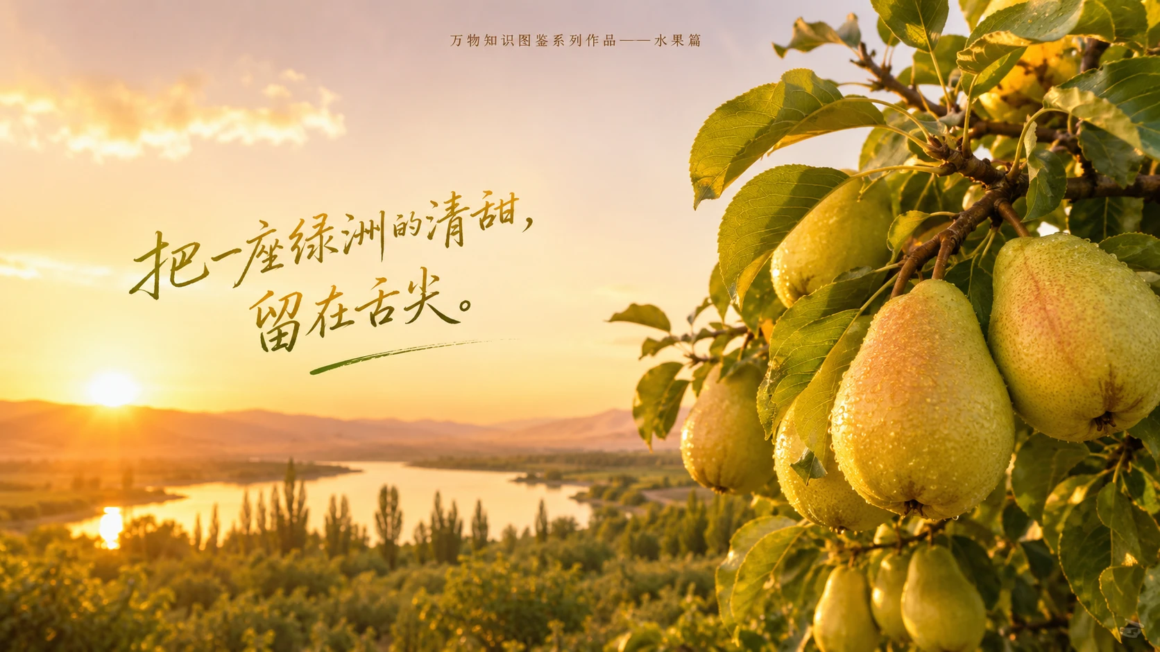 万物知识图鉴系列作品PPT——库尔勒香梨【4K】 - 预览图9