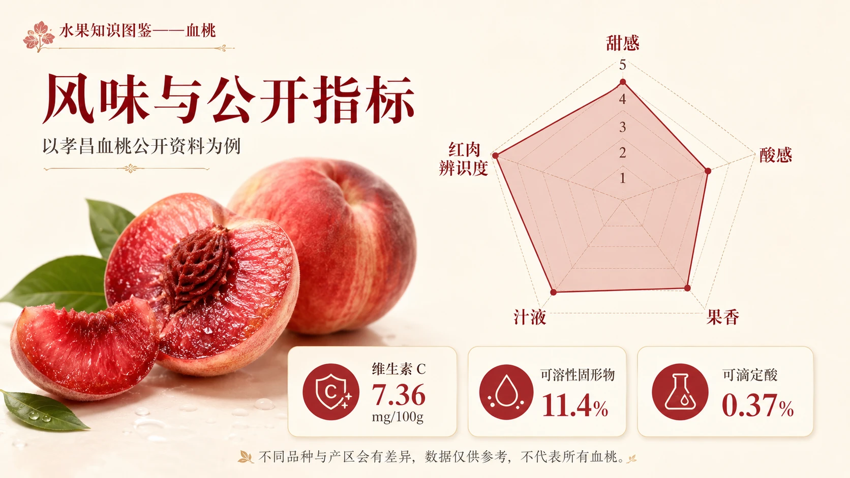 万物知识图鉴系列作品PPT——血桃【4K】 - 预览图2