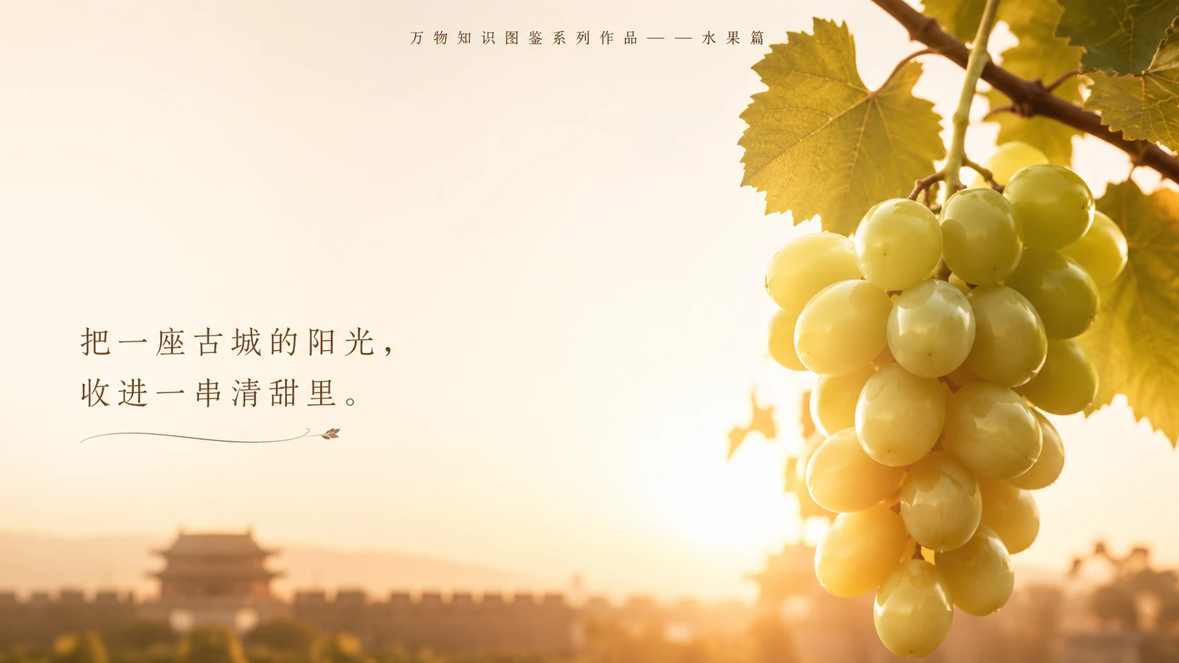 万物知识图鉴系列作品PPT——牛奶葡萄【4K】 - 预览图4