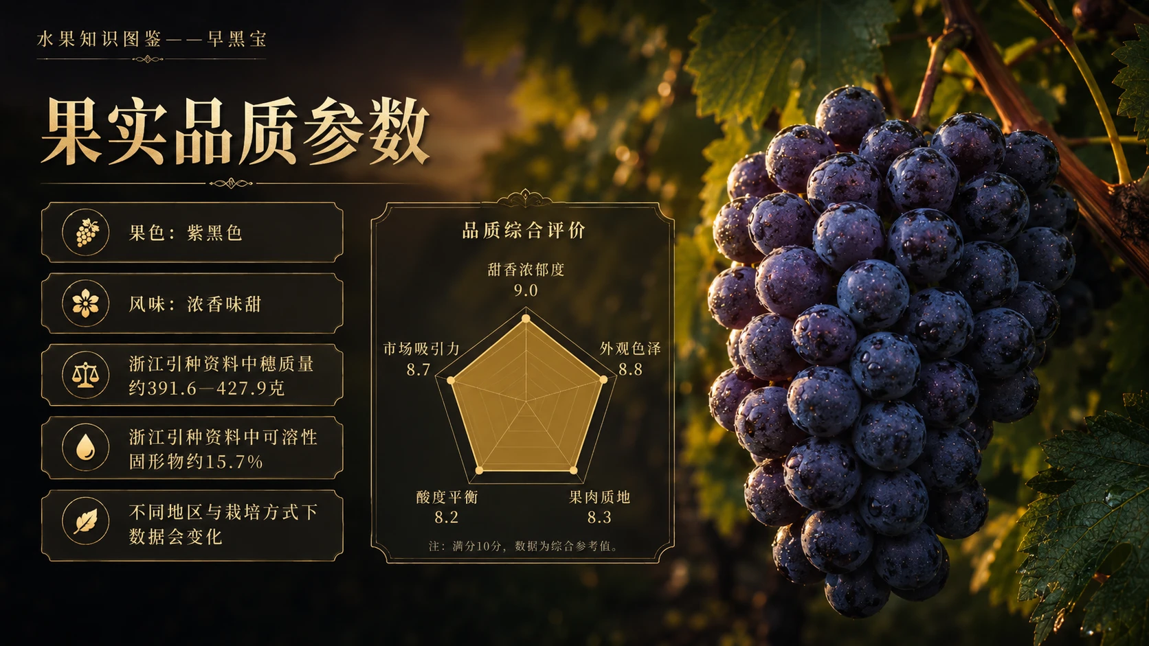 万物知识图鉴系列作品PPT——早黑宝【4K】 - 预览图2