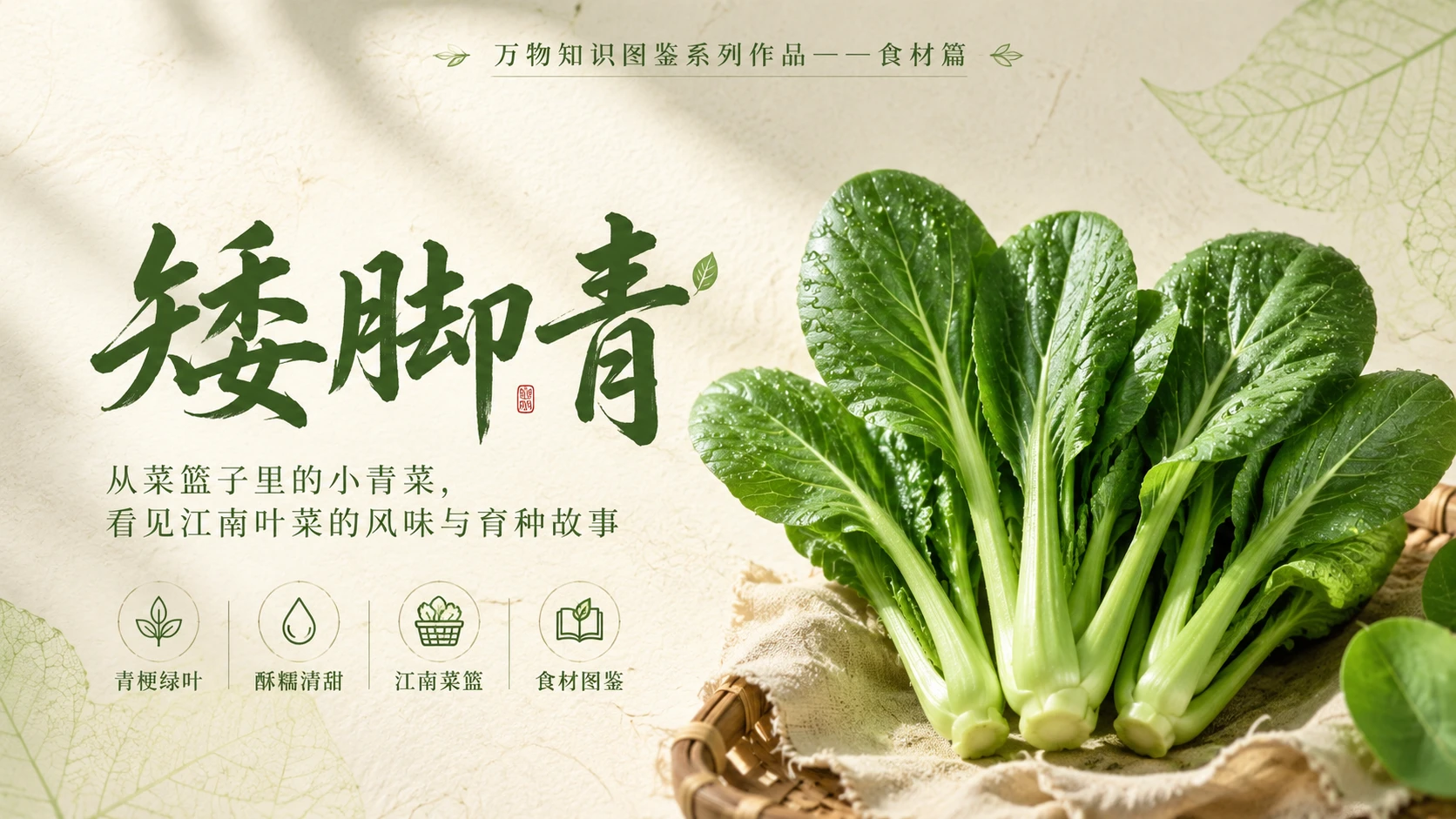 万物知识图鉴系列作品PPT——矮脚青 - 预览图1