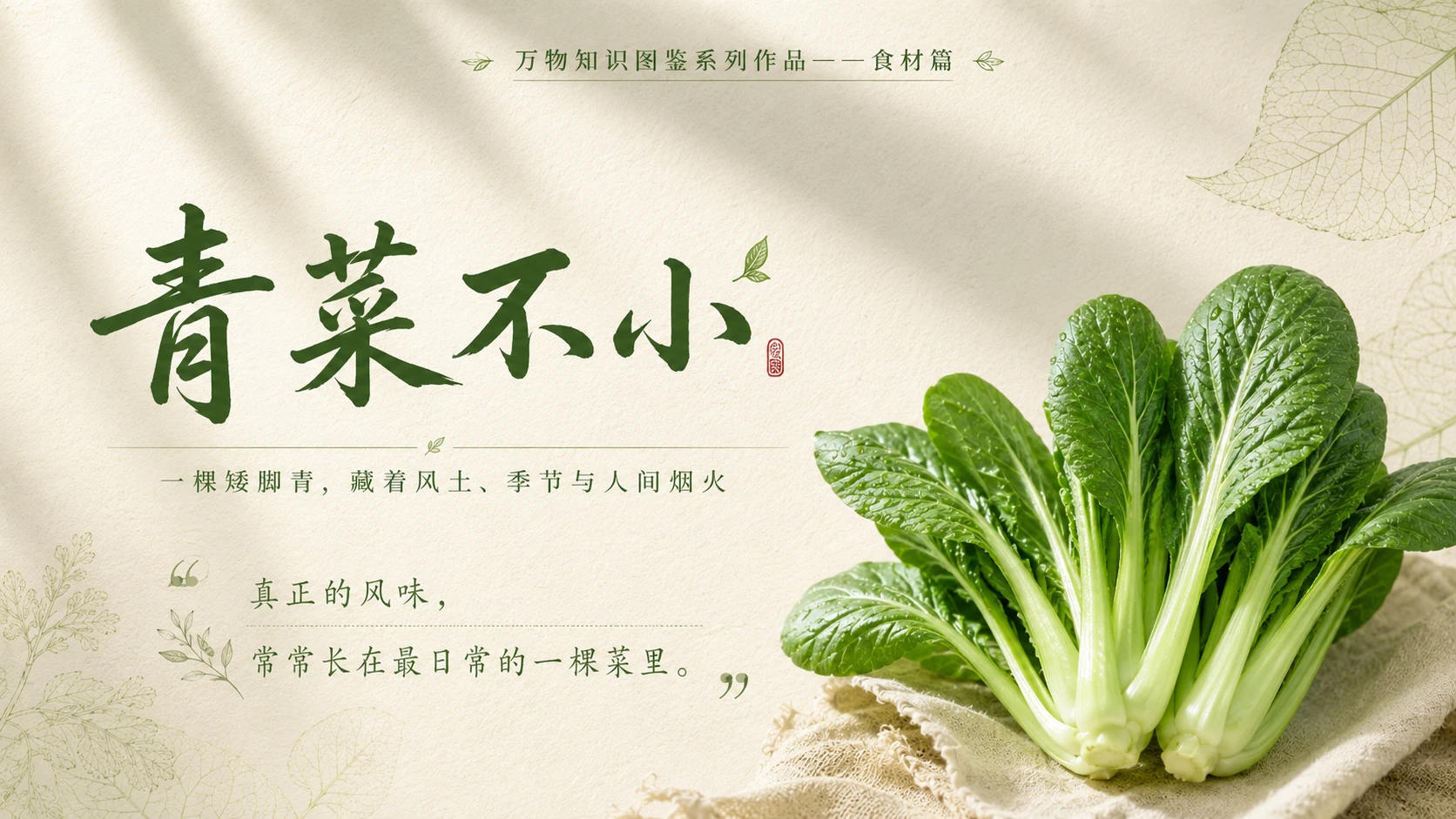 万物知识图鉴系列作品PPT——矮脚青 - 预览图10