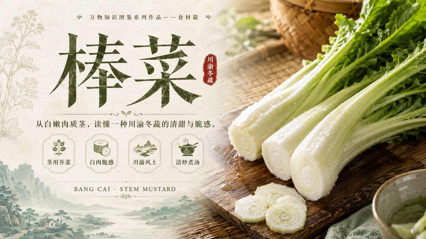 万物知识图鉴系列作品PPT——棒菜 - 预览图1