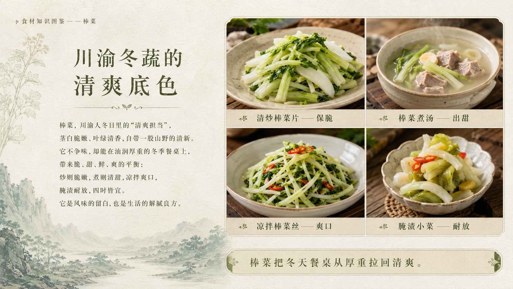 万物知识图鉴系列作品PPT——棒菜 - 预览图9