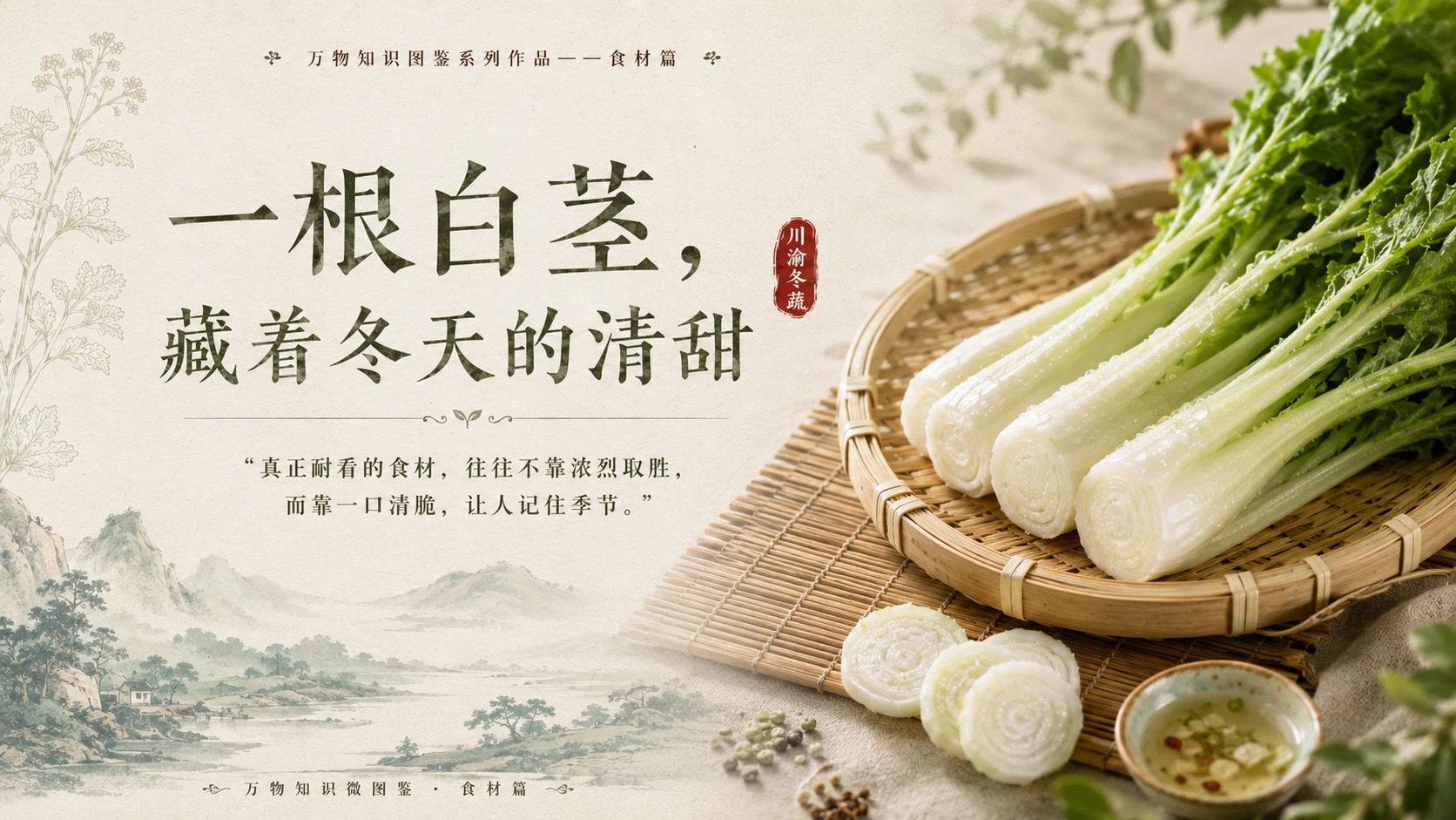 万物知识图鉴系列作品PPT——棒菜 - 预览图10