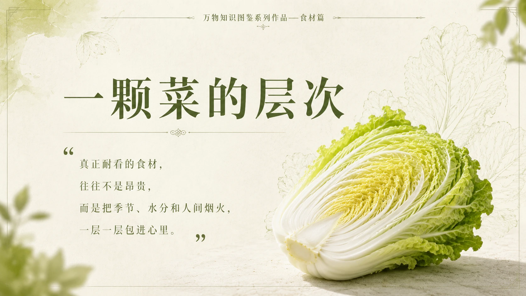万物知识图鉴系列作品PPT——包心白菜 - 预览图9