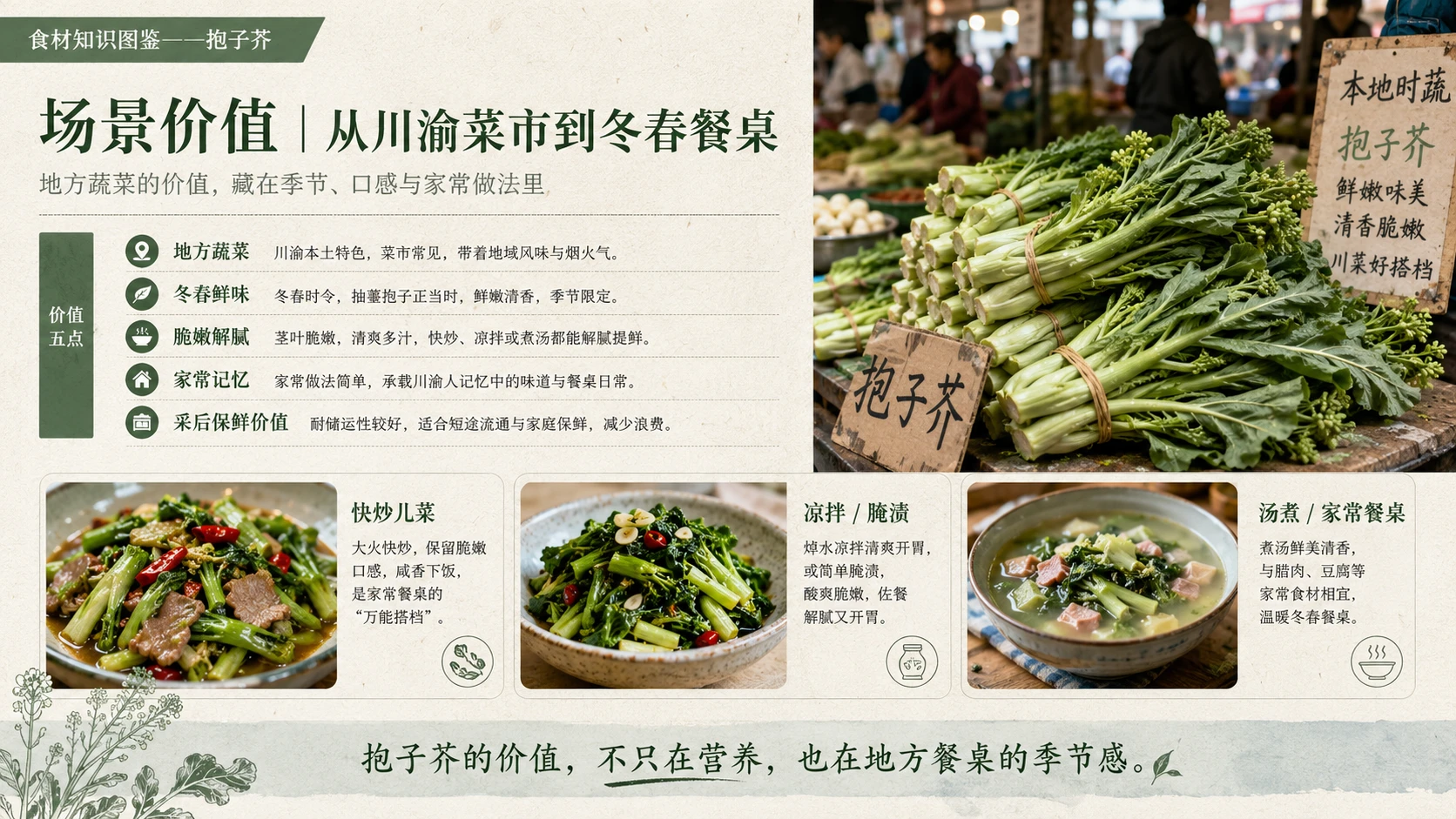 万物知识图鉴系列作品PPT——抱子芥 - 预览图9