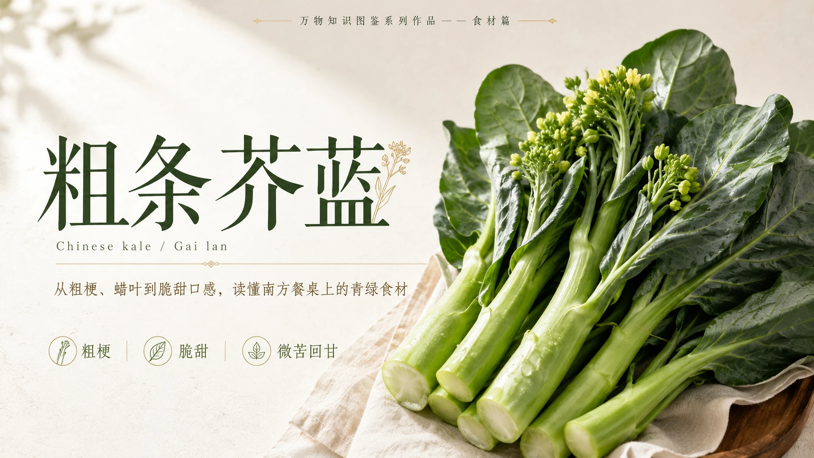 万物知识图鉴系列作品PPT——粗条芥蓝 - 预览图1