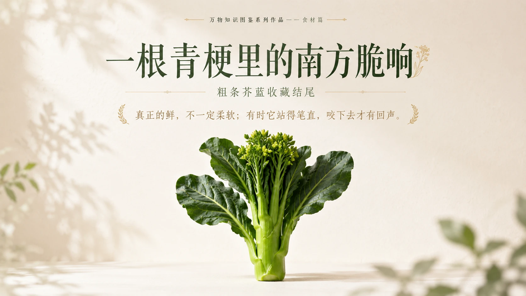 万物知识图鉴系列作品PPT——粗条芥蓝 - 预览图10