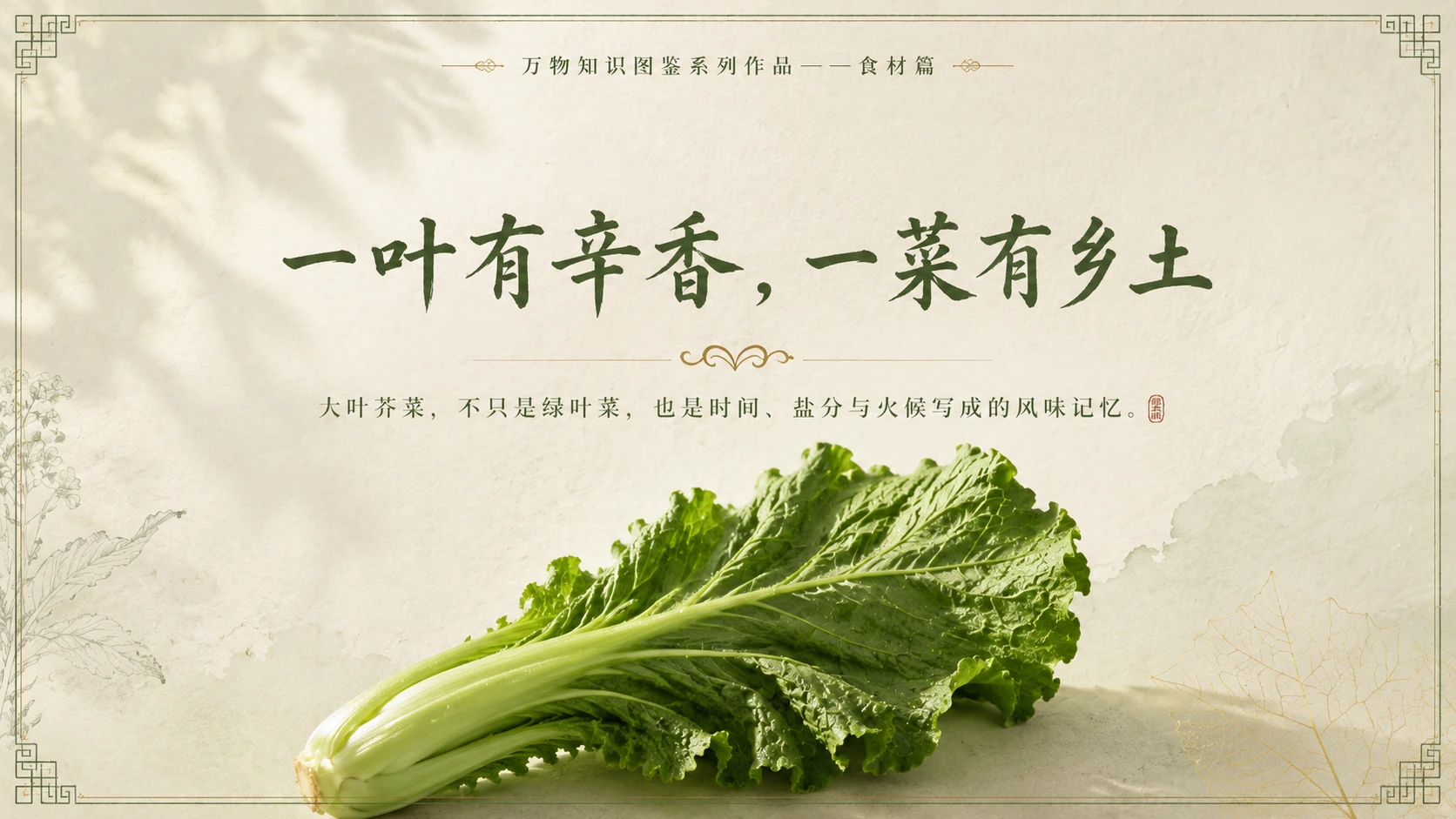 万物知识图鉴系列作品PPT——大叶芥菜 - 预览图10