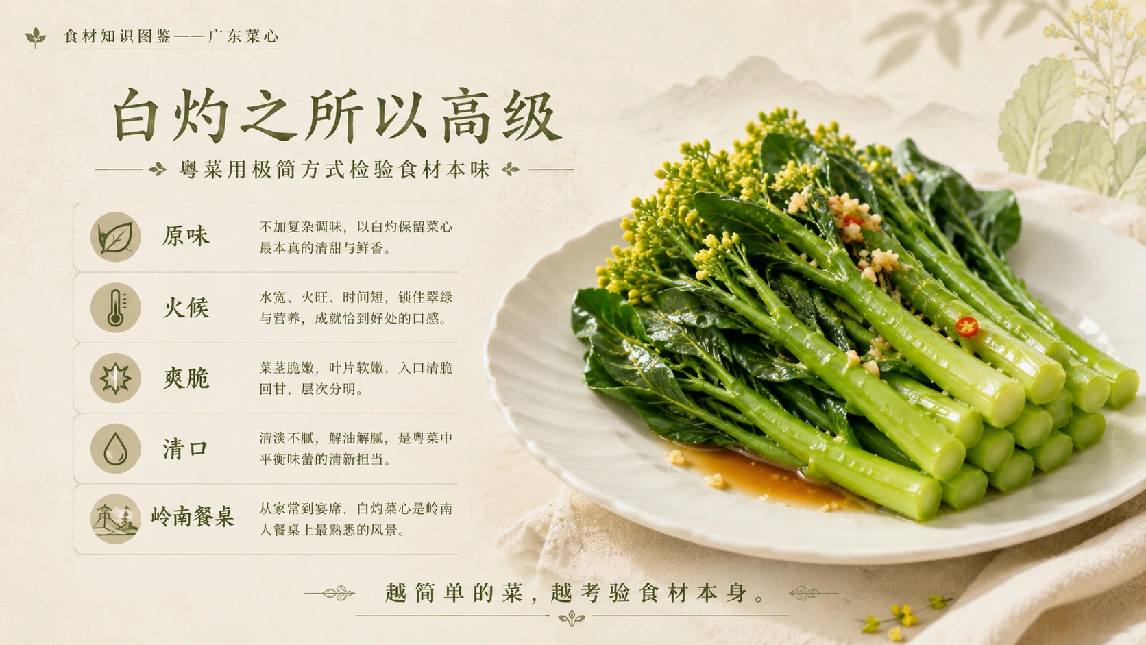 万物知识图鉴系列作品PPT——广东菜心 - 预览图9