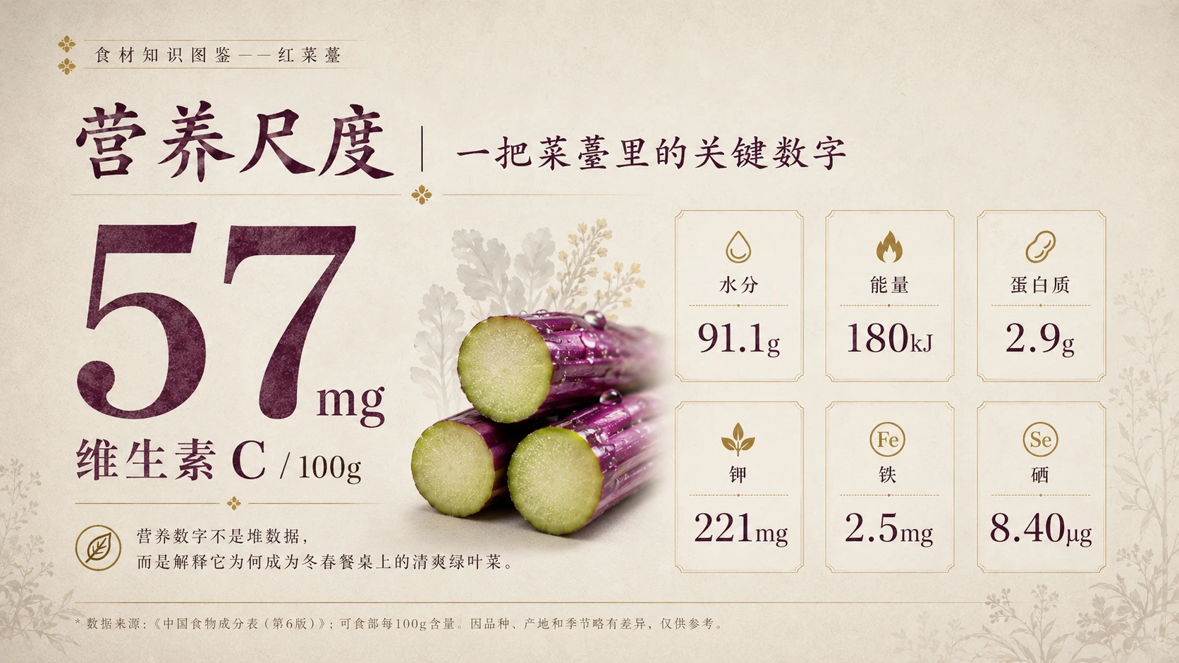 万物知识图鉴系列作品PPT——红菜薹 - 预览图4