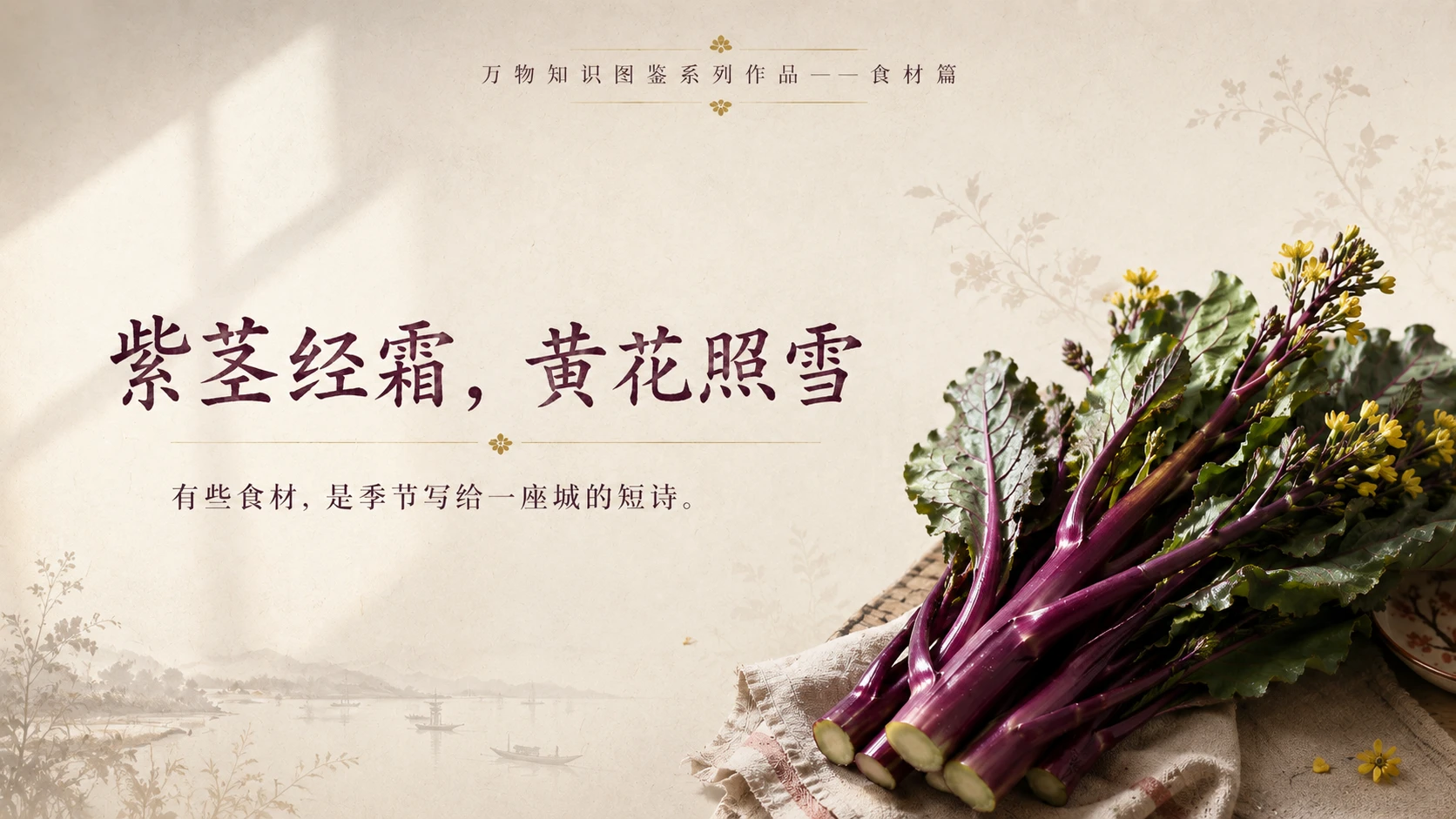 万物知识图鉴系列作品PPT——红菜薹 - 预览图10