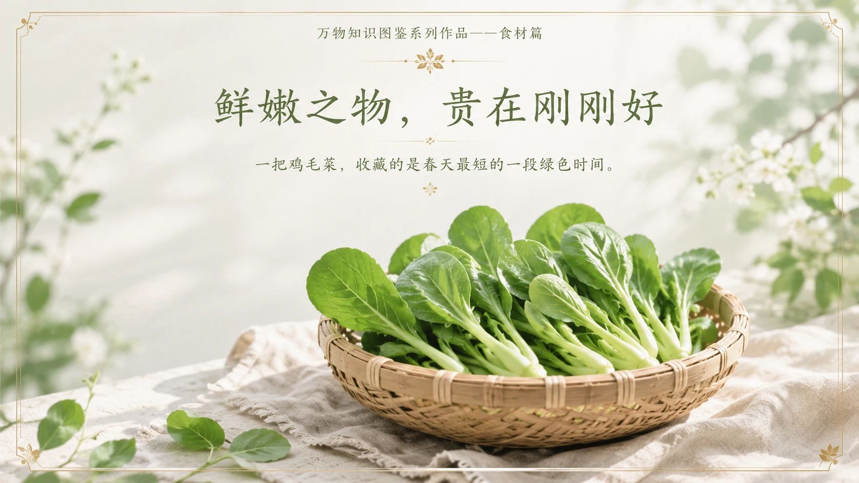 万物知识图鉴系列作品PPT——鸡毛菜 - 预览图10