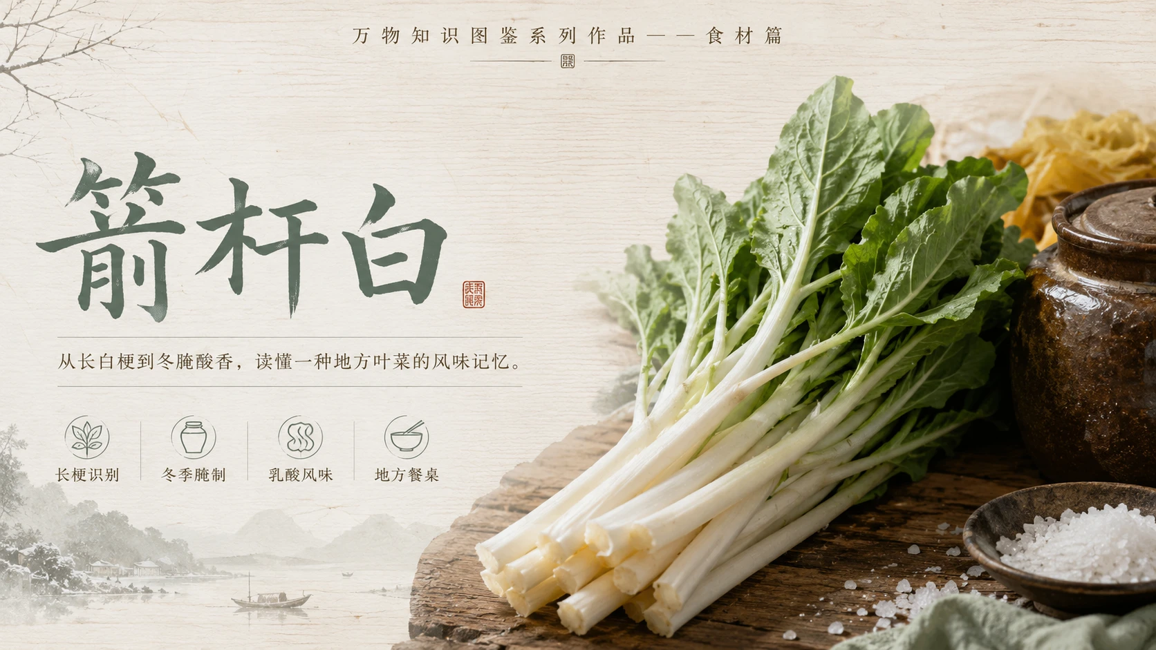万物知识图鉴系列作品PPT——箭杆白 - 预览图1