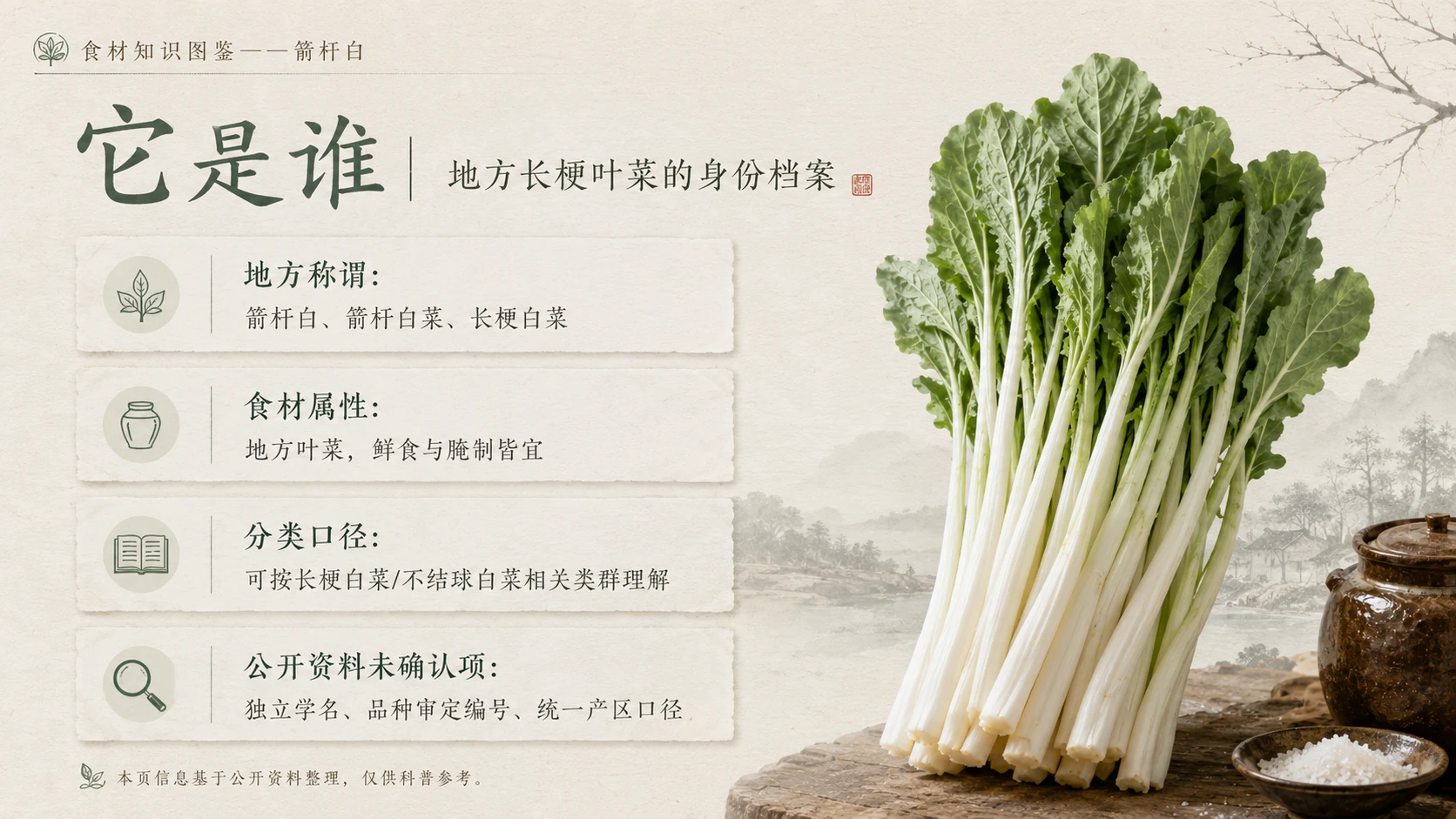 万物知识图鉴系列作品PPT——箭杆白 - 预览图2