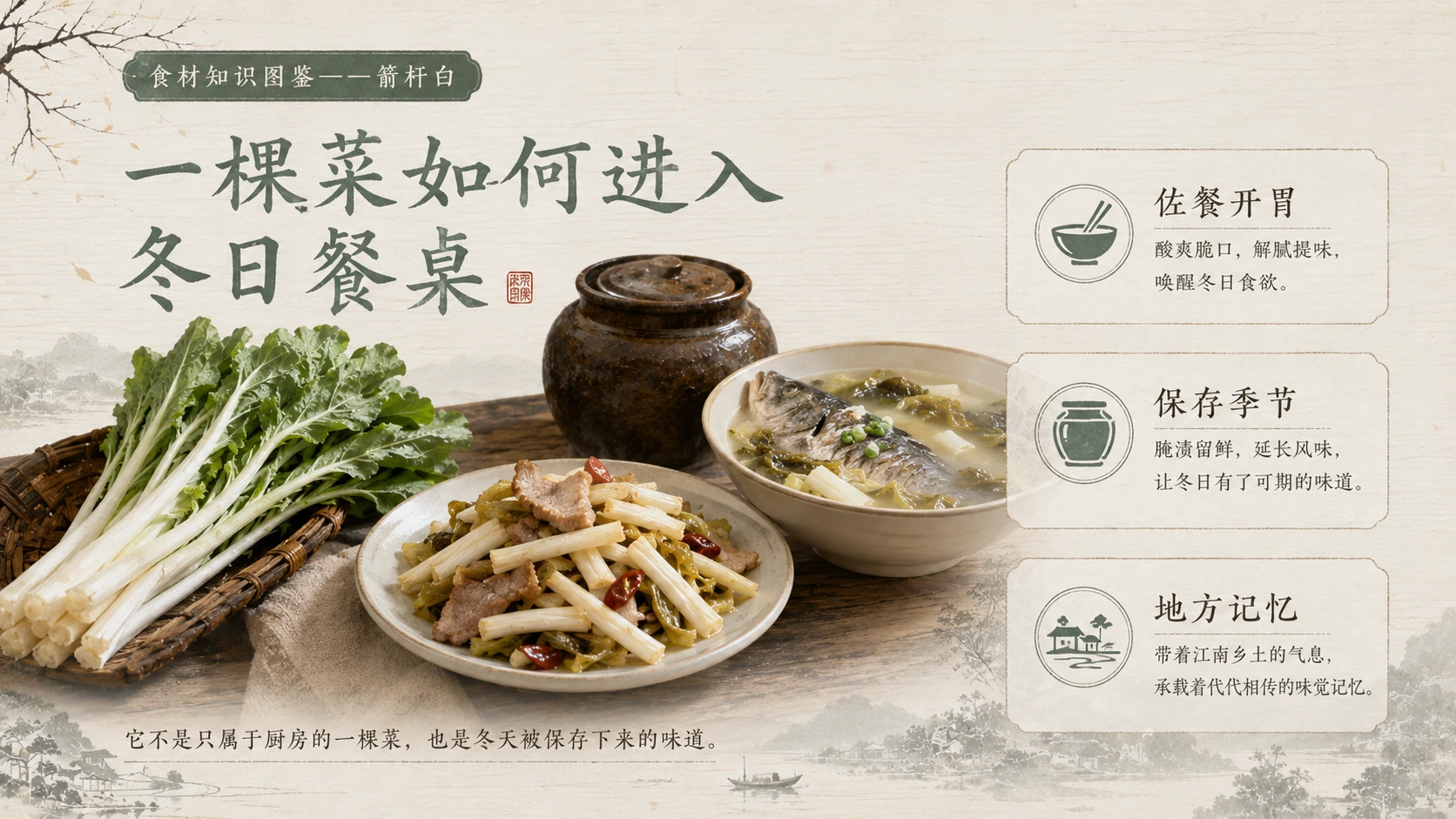 万物知识图鉴系列作品PPT——箭杆白 - 预览图9