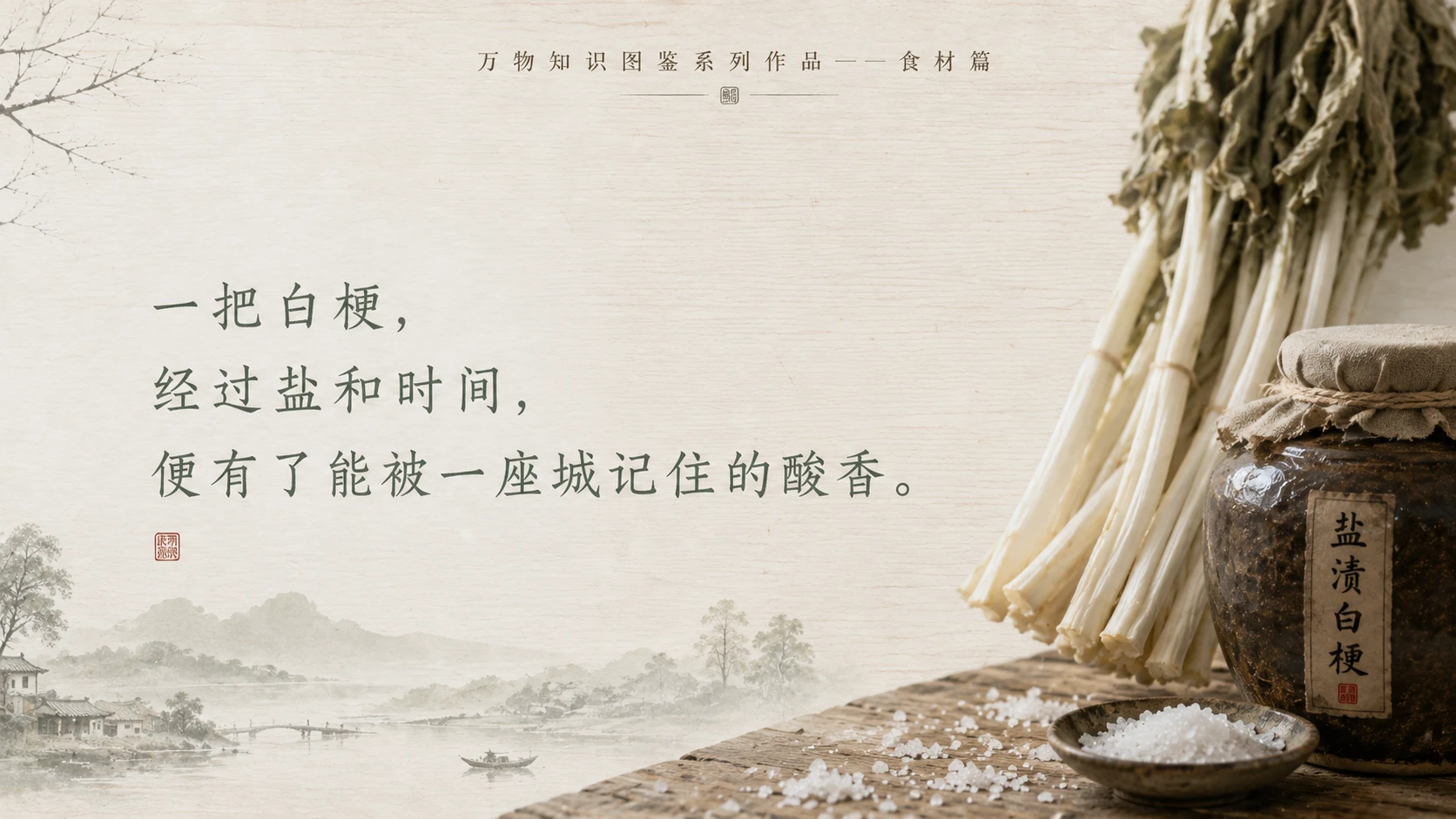万物知识图鉴系列作品PPT——箭杆白 - 预览图10