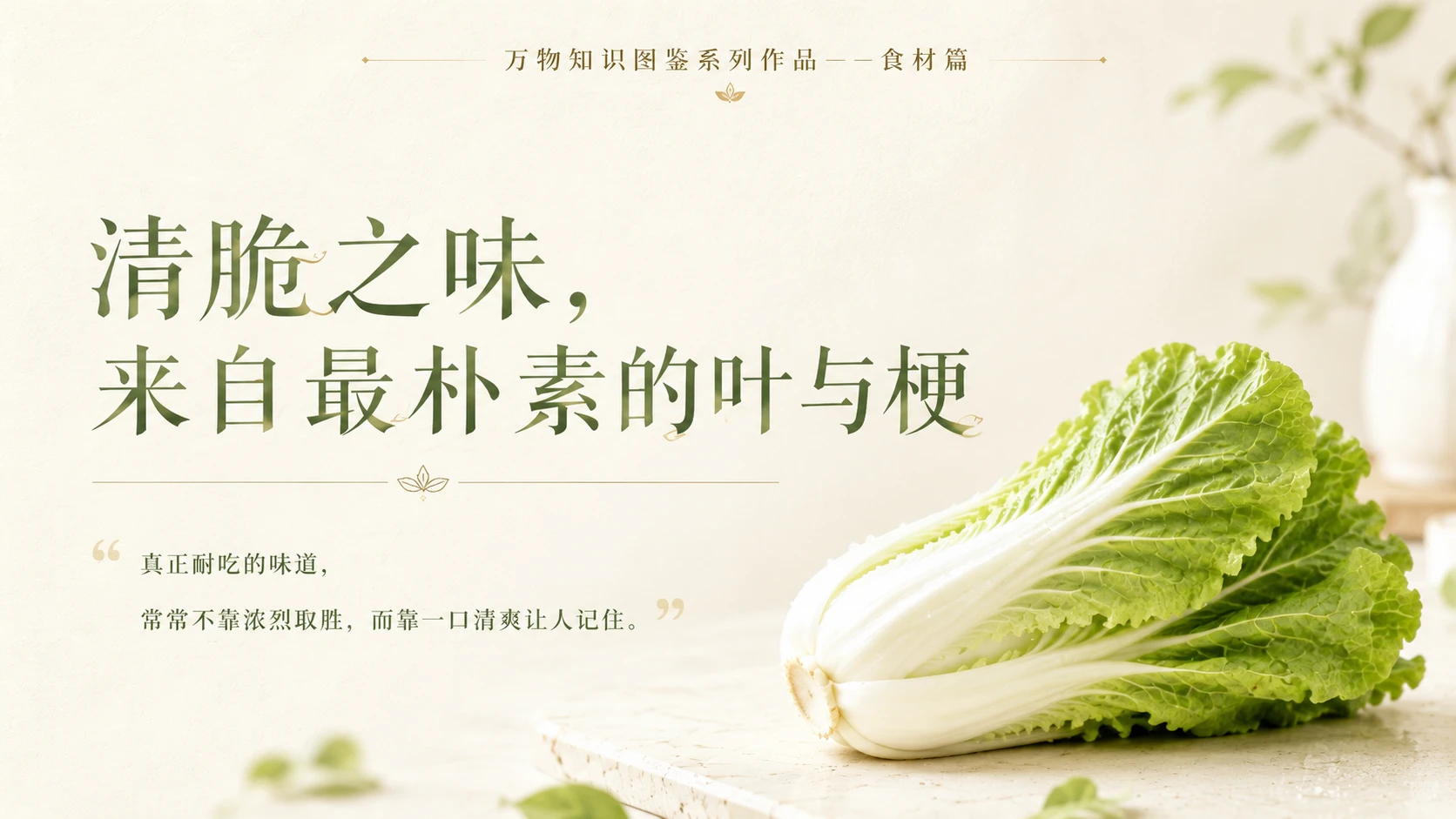 万物知识图鉴系列作品PPT——奶白菜 - 预览图10