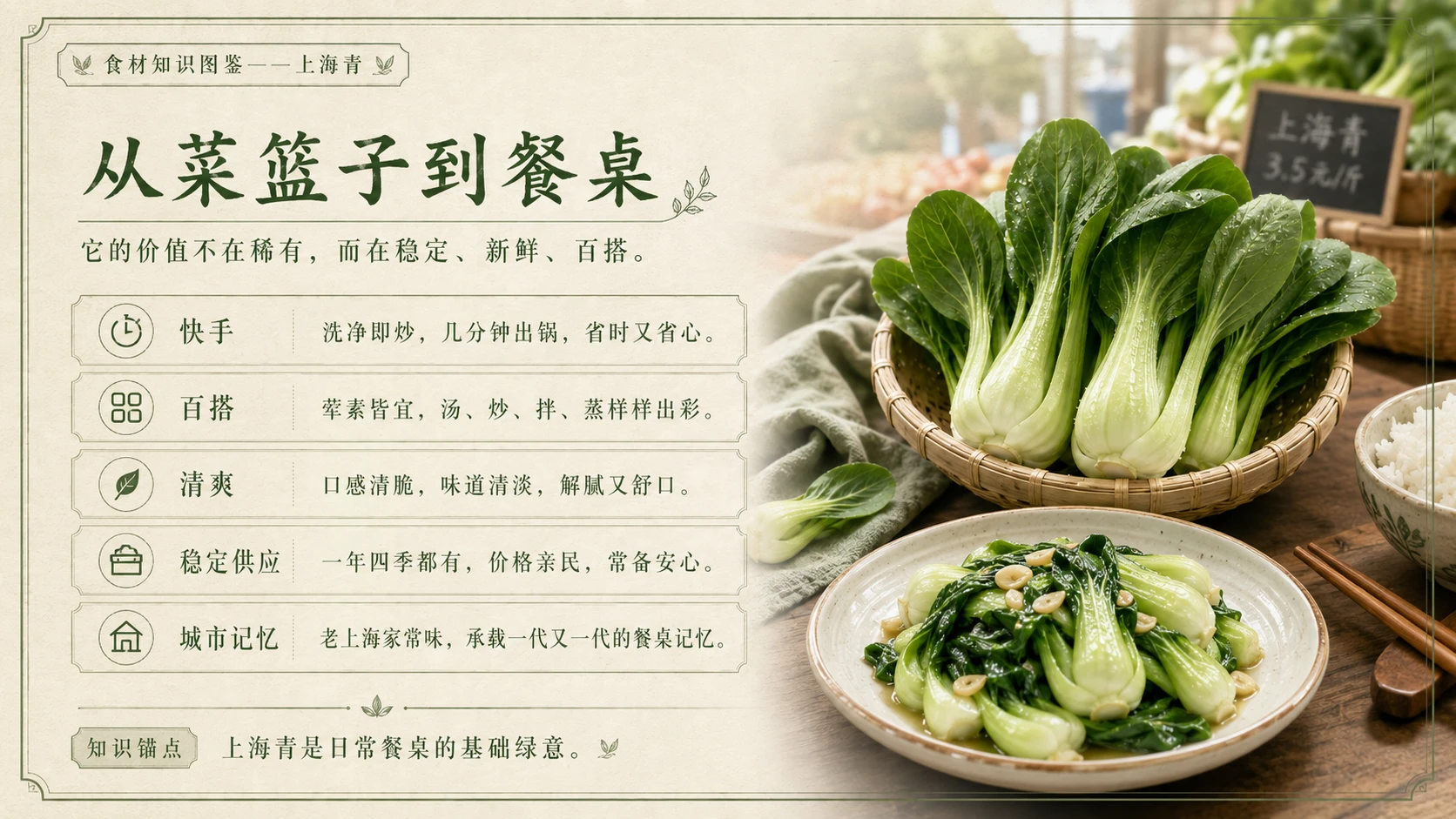 万物知识图鉴系列作品PPT——上海青 - 预览图9