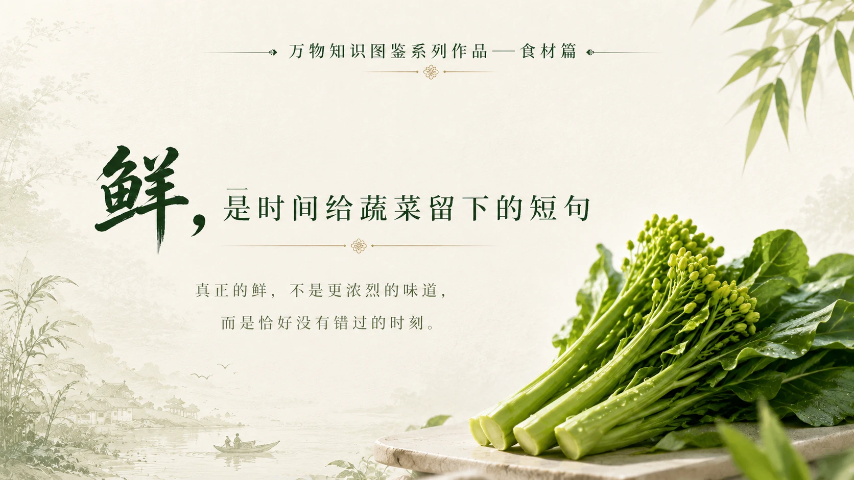 万物知识图鉴系列作品PPT——四九菜心 - 预览图10
