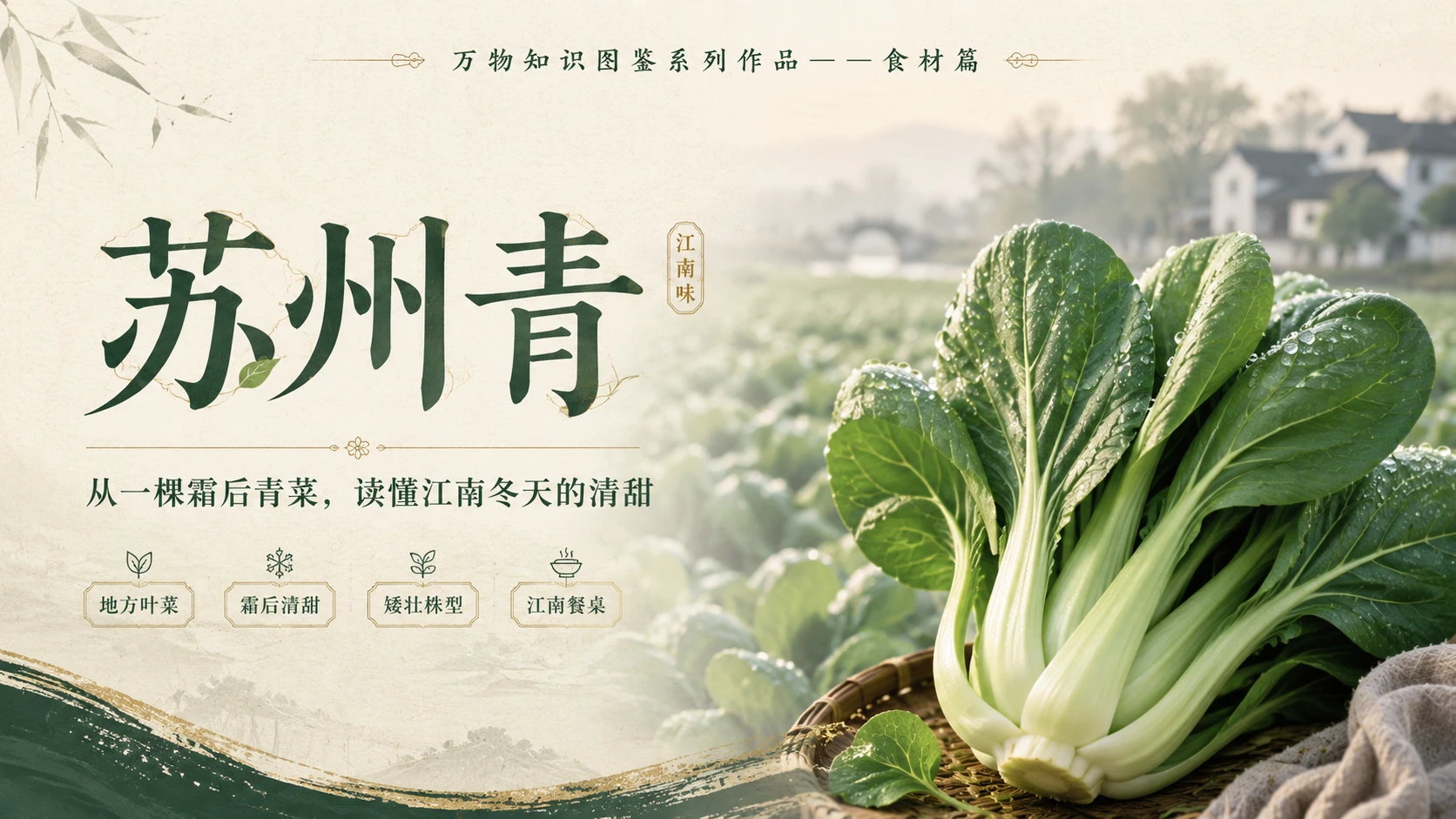 万物知识图鉴系列作品PPT——苏州青 - 预览图1