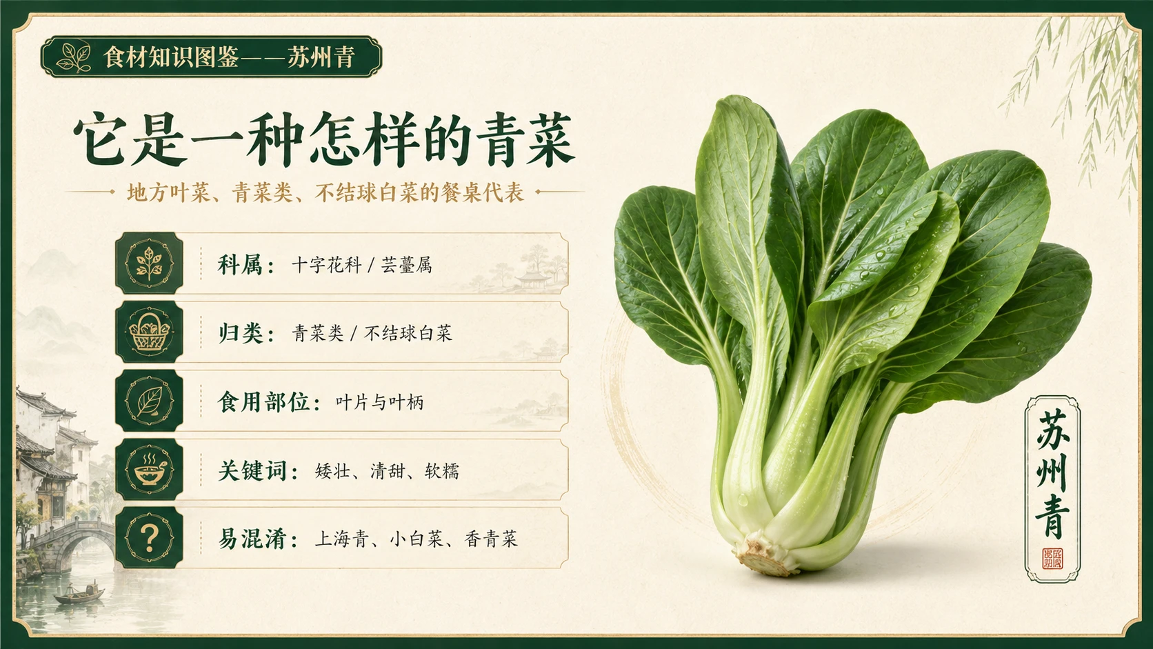 万物知识图鉴系列作品PPT——苏州青 - 预览图2
