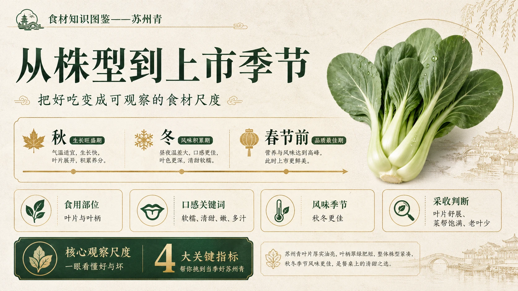万物知识图鉴系列作品PPT——苏州青 - 预览图4