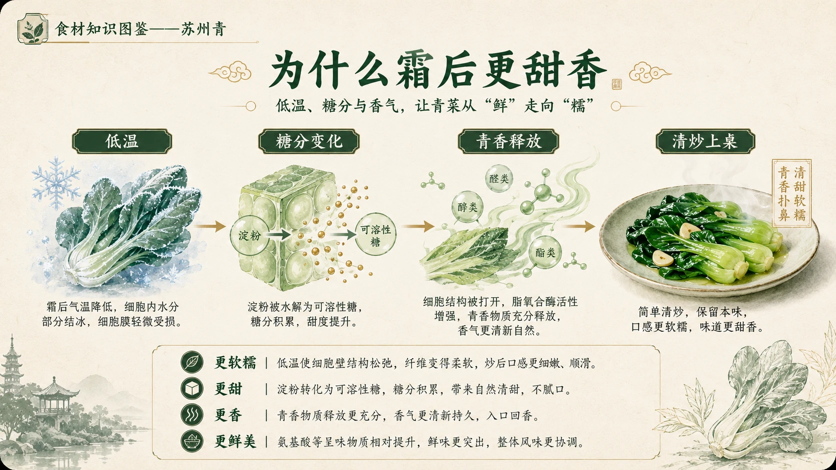 万物知识图鉴系列作品PPT——苏州青 - 预览图6