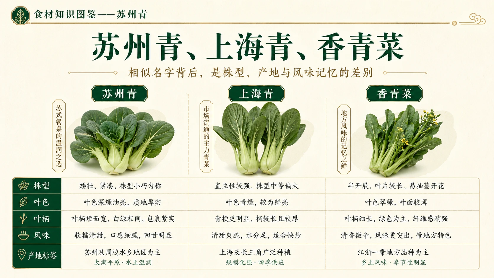 万物知识图鉴系列作品PPT——苏州青 - 预览图8