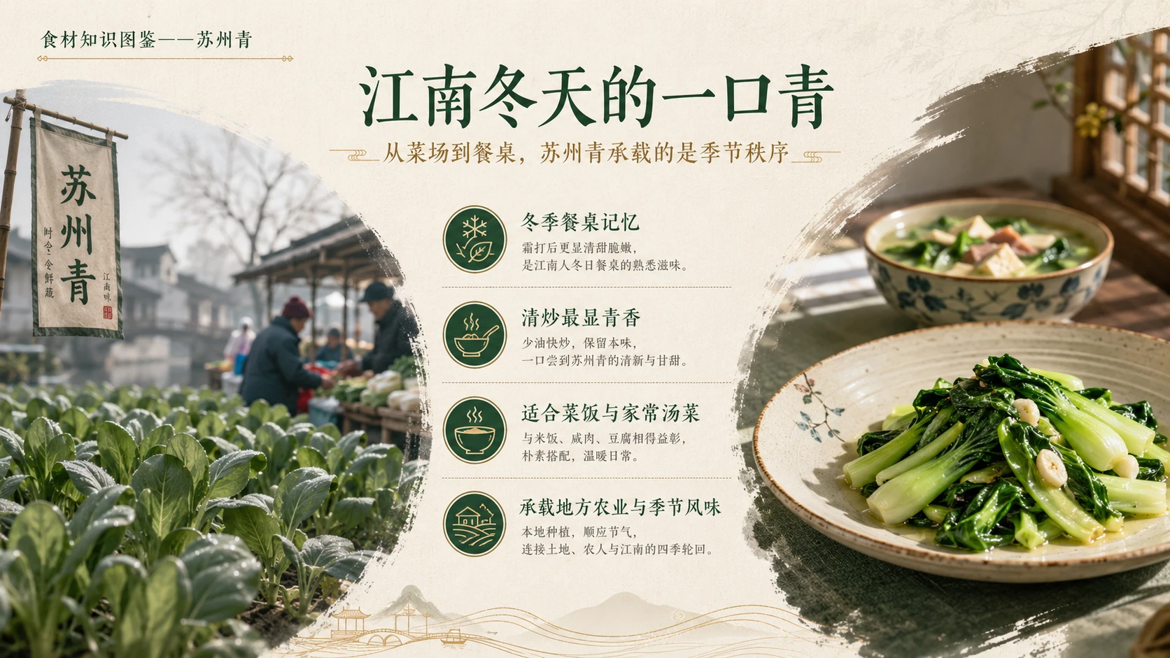万物知识图鉴系列作品PPT——苏州青 - 预览图9