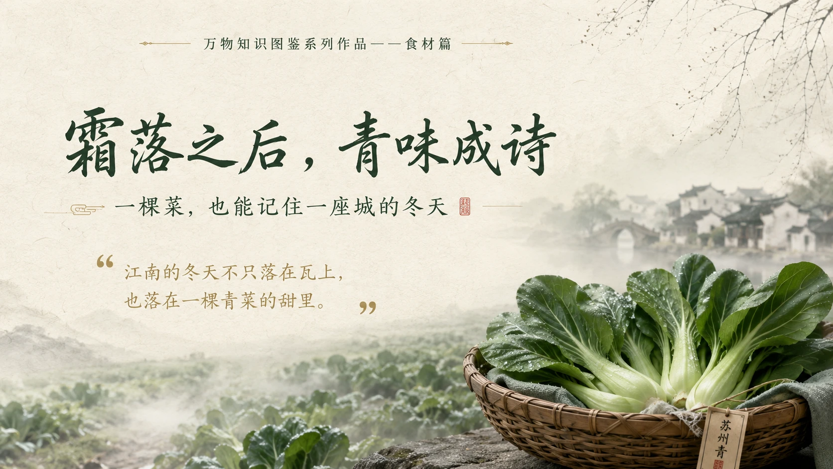 万物知识图鉴系列作品PPT——苏州青 - 预览图10
