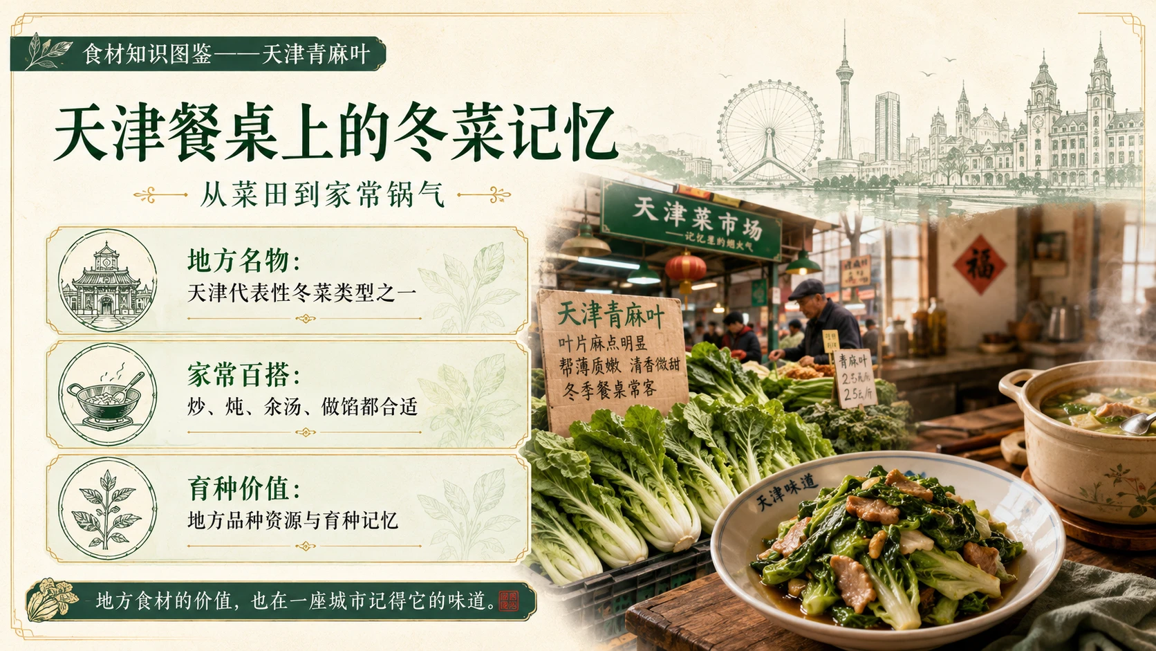 万物知识图鉴系列作品PPT——天津青麻叶 - 预览图9