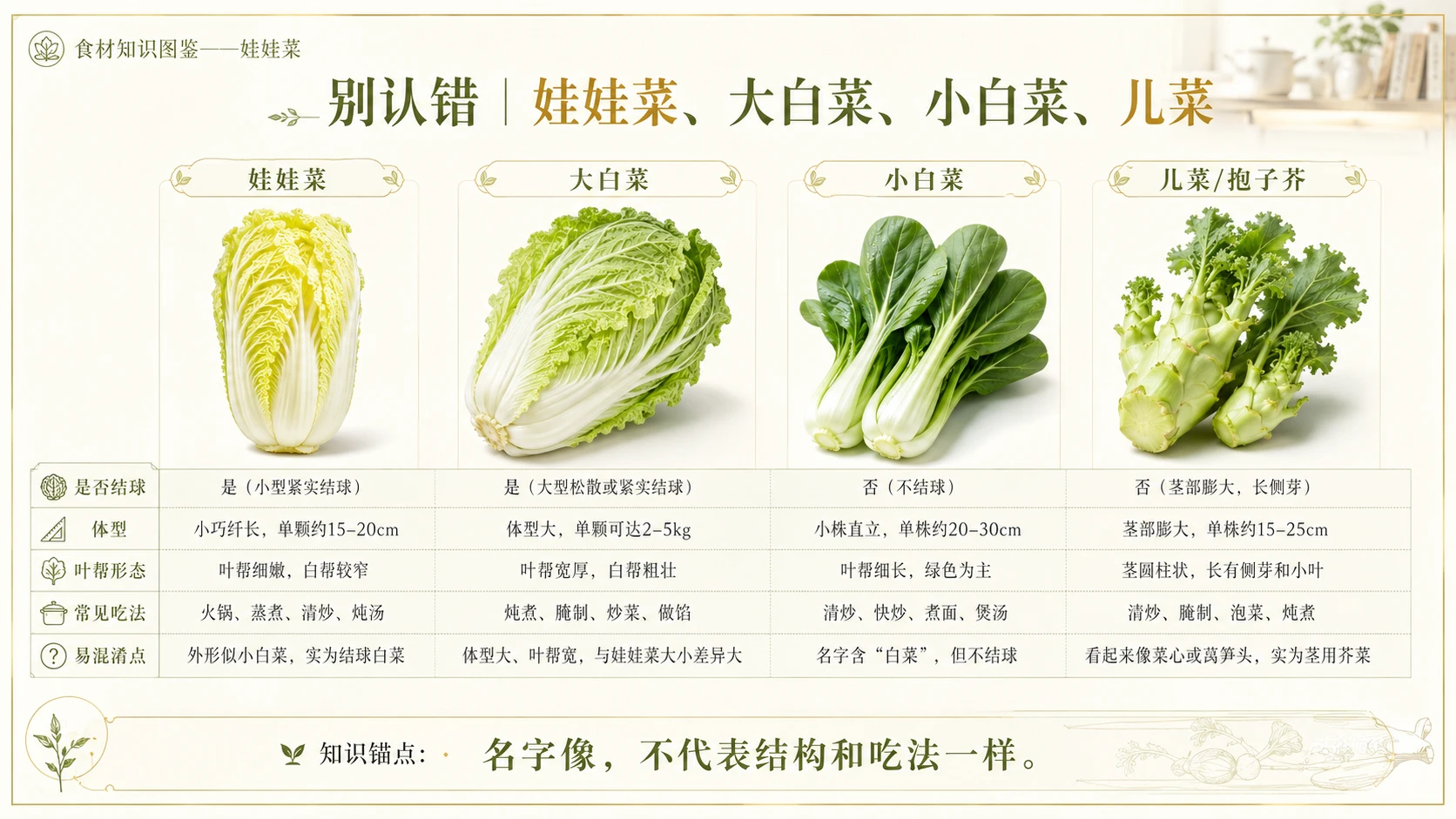 万物知识图鉴系列作品PPT——娃娃菜 - 预览图8