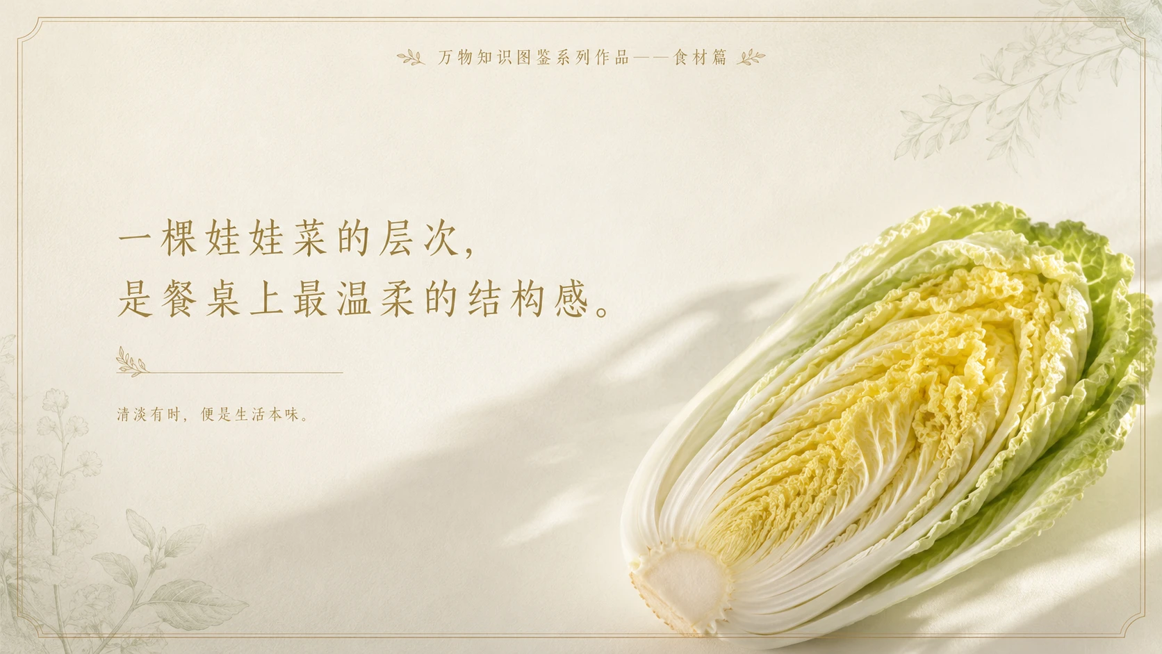 万物知识图鉴系列作品PPT——娃娃菜 - 预览图10