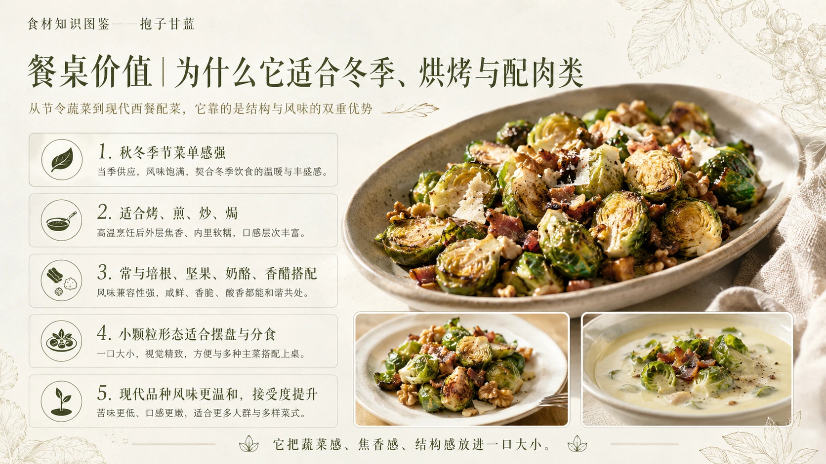 万物知识图鉴系列作品PPT——抱子甘蓝 - 预览图9