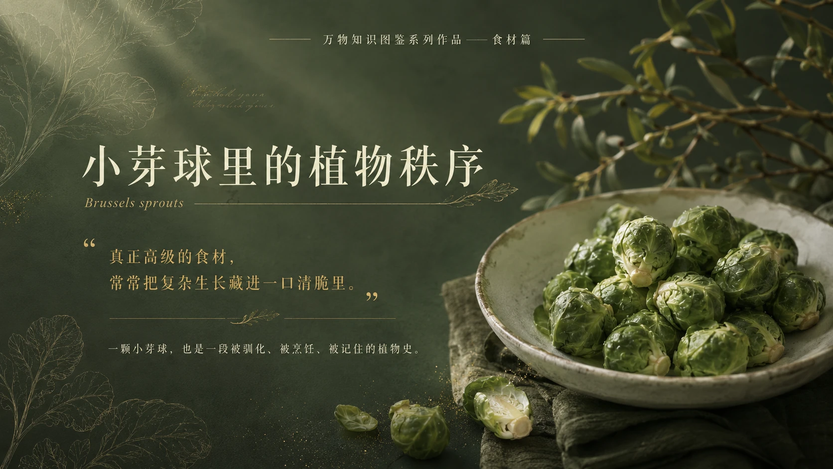万物知识图鉴系列作品PPT——抱子甘蓝 - 预览图10