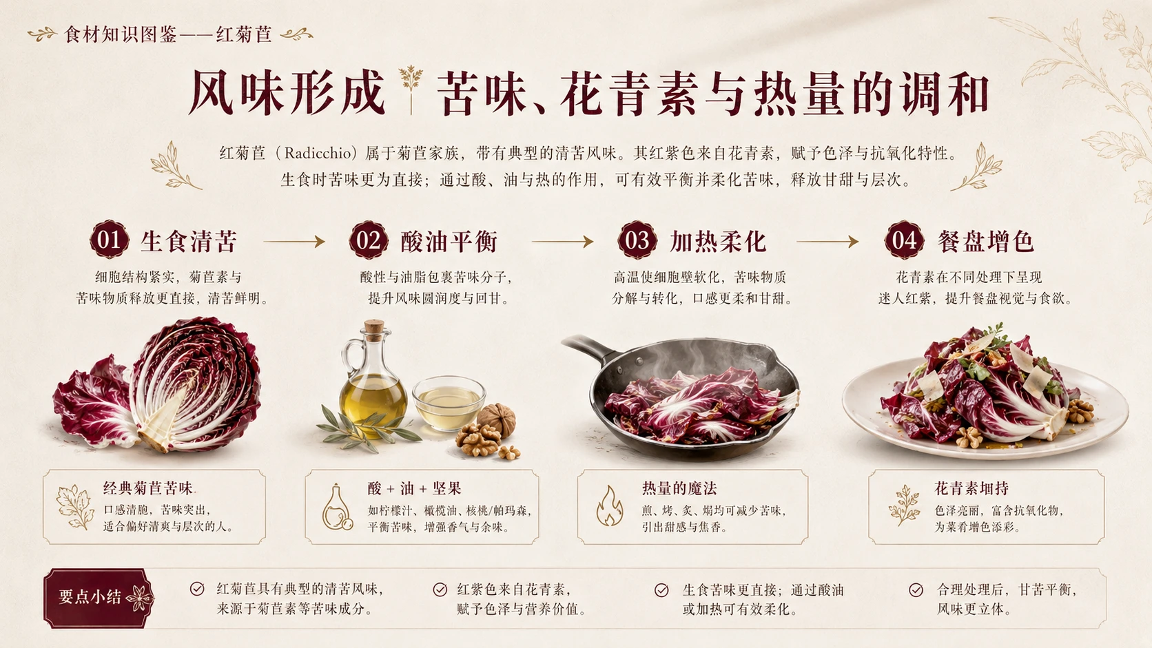 万物知识图鉴系列作品PPT——红菊苣 - 预览图6