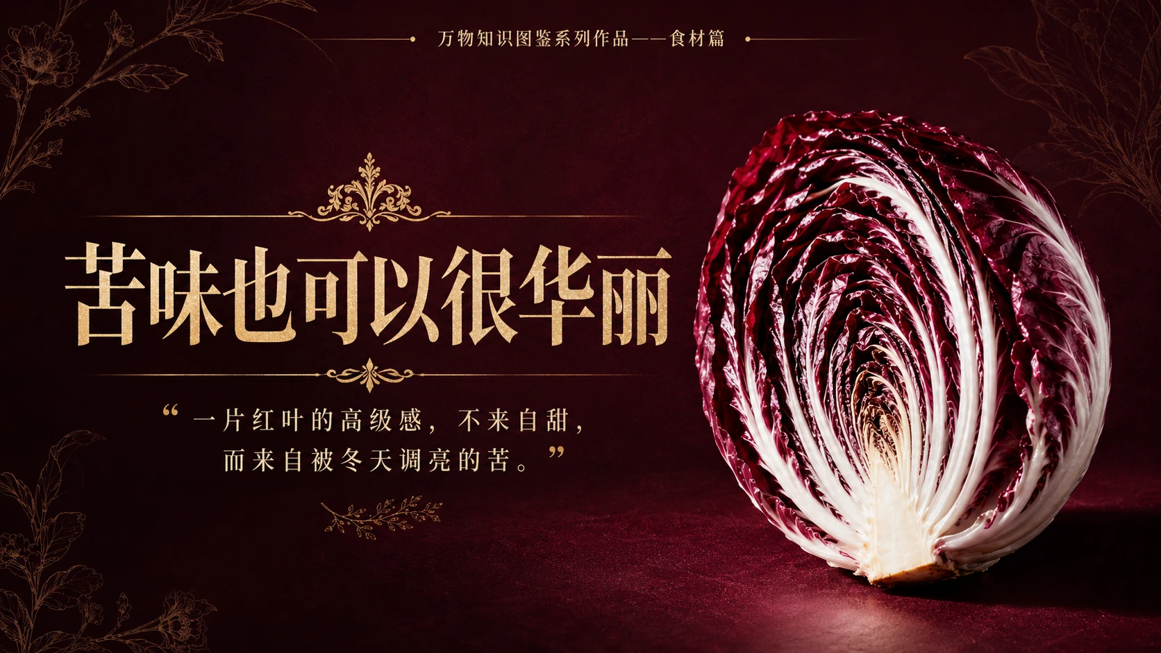 万物知识图鉴系列作品PPT——红菊苣 - 预览图10