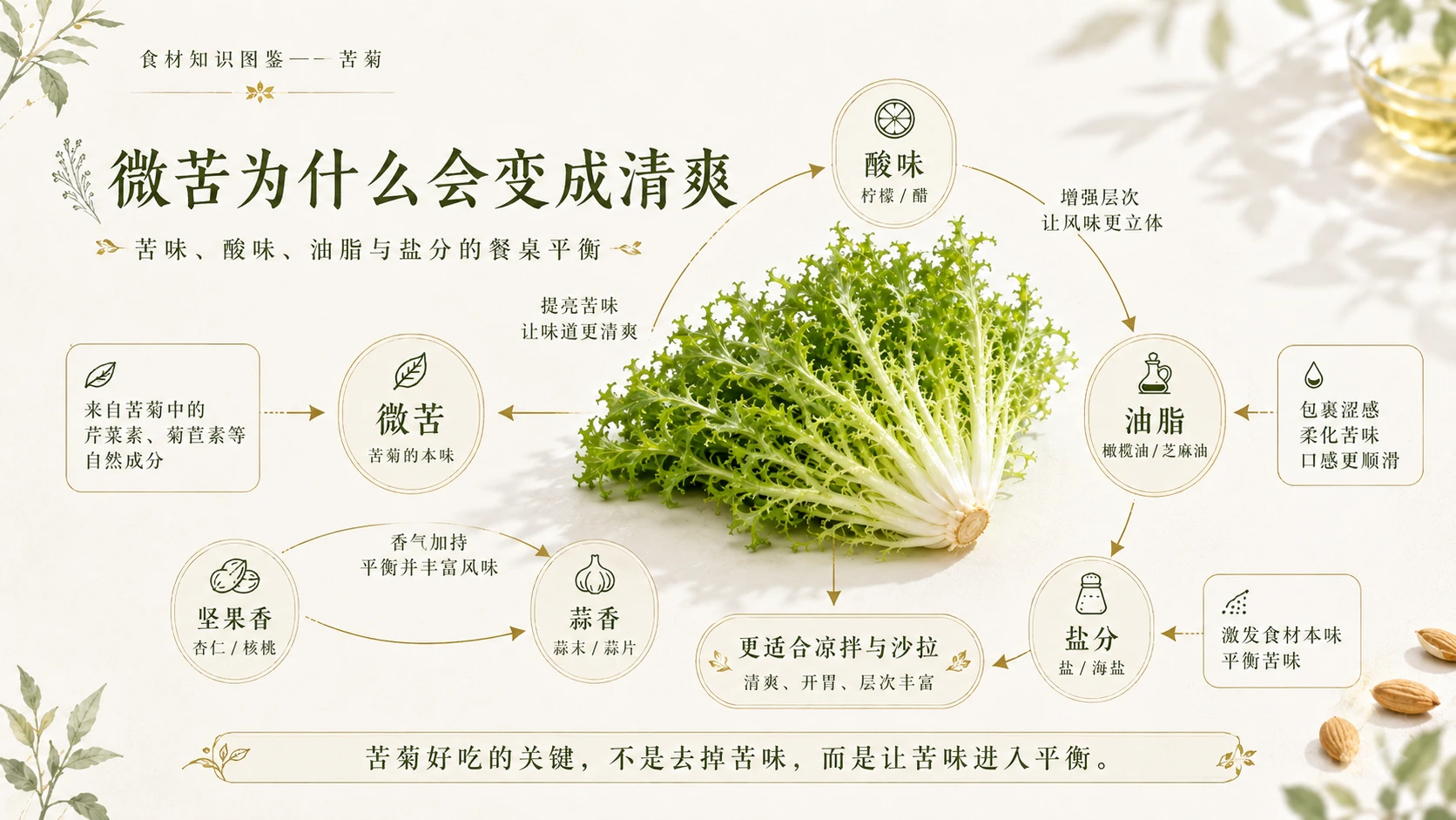 万物知识图鉴系列作品PPT——苦菊 - 预览图6