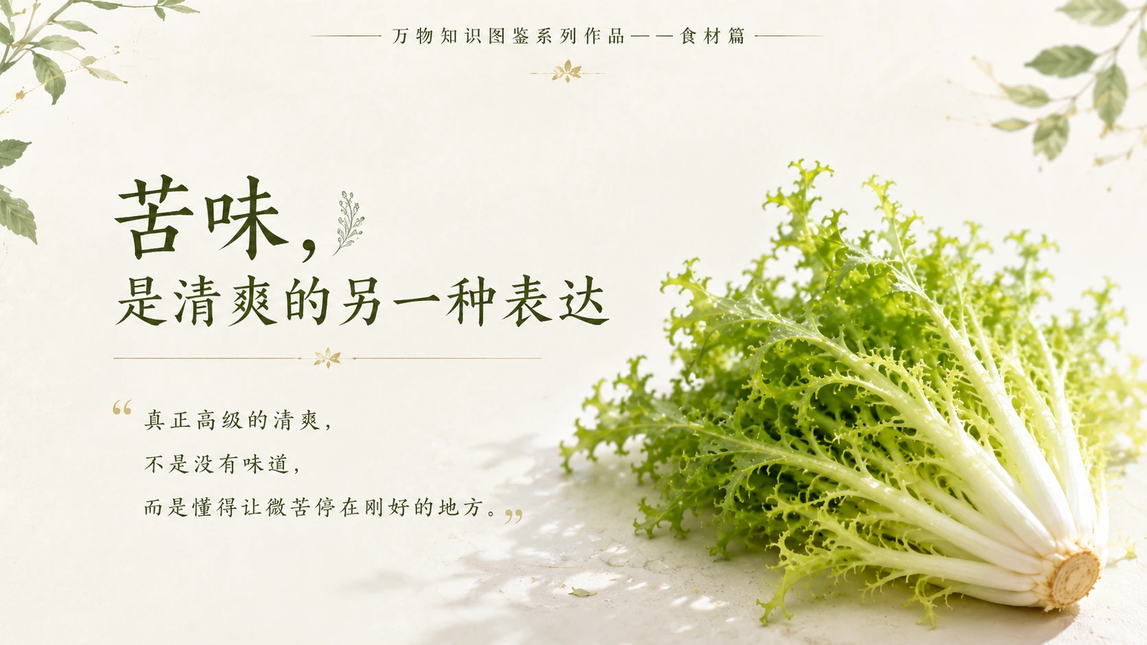 万物知识图鉴系列作品PPT——苦菊 - 预览图10