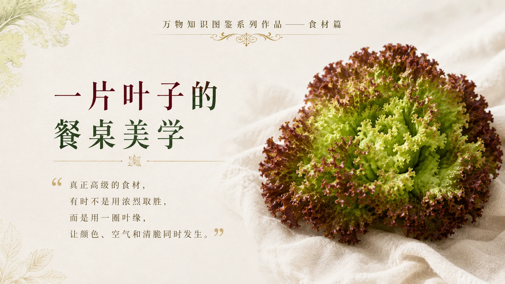 万物知识图鉴系列作品PPT——罗莎生菜 - 预览图10