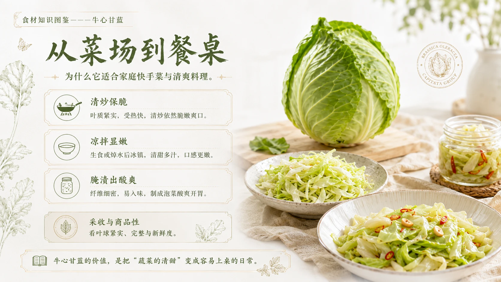 万物知识图鉴系列作品PPT——牛心甘蓝 - 预览图9