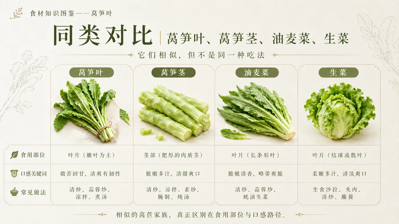 万物知识图鉴系列作品PPT——莴笋叶 - 预览图8
