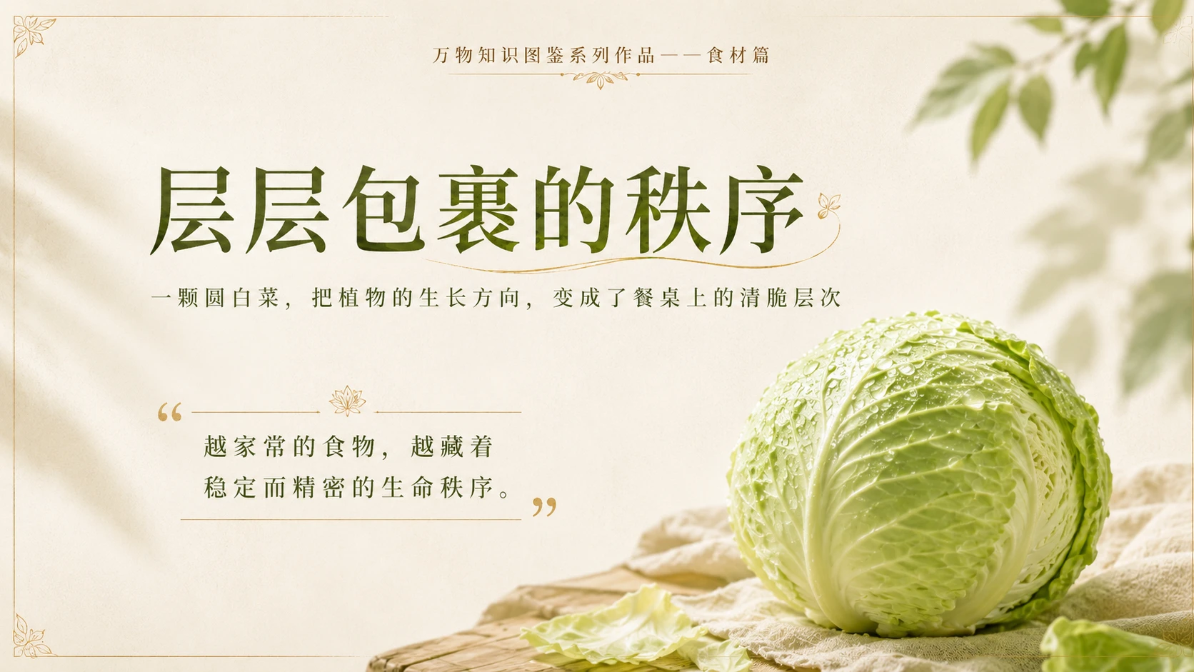 万物知识图鉴系列作品PPT——圆白菜 - 预览图10